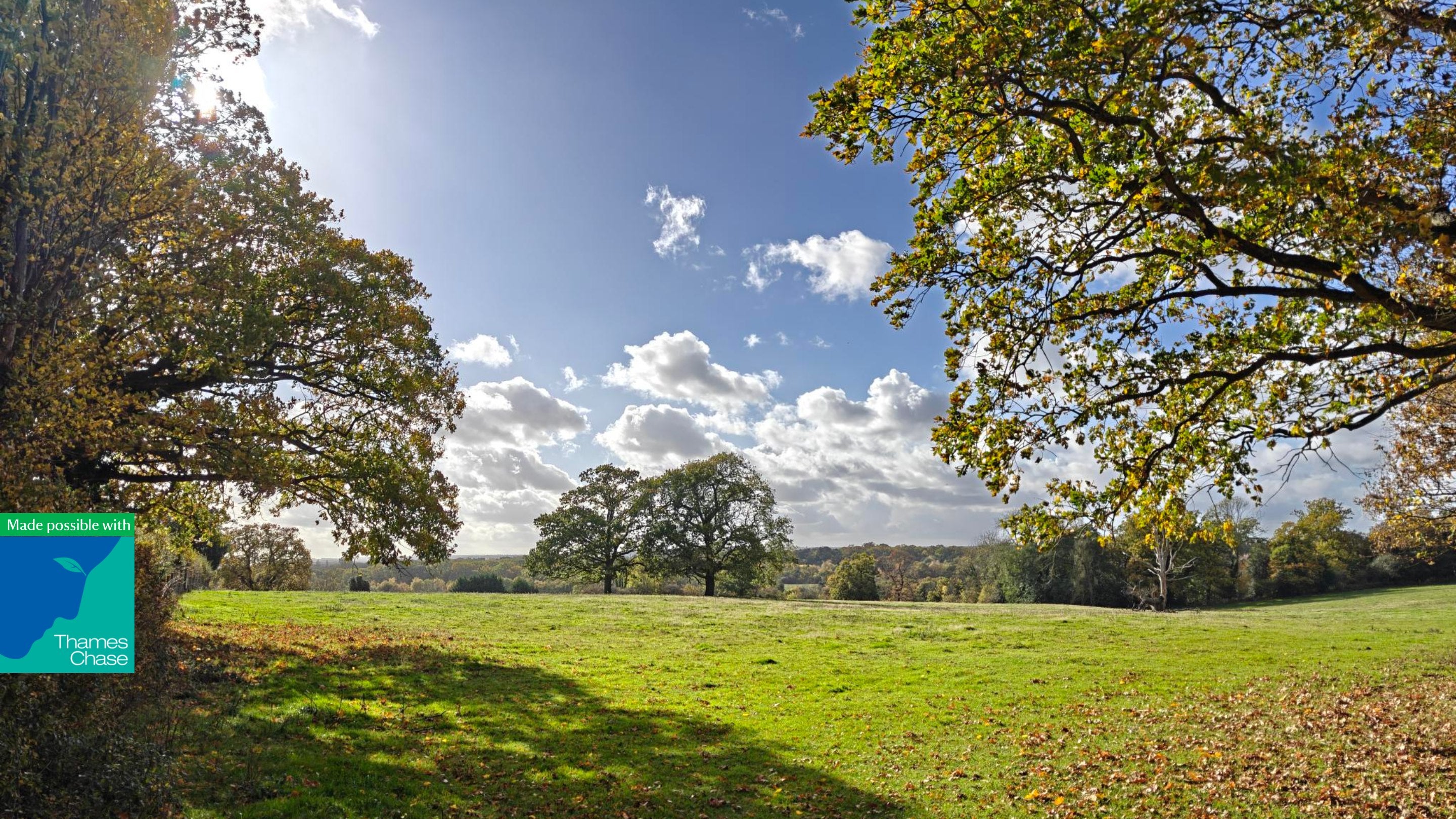 Image of open countryside in autumn on a sunny day with the leaves changing colour to autumn reds