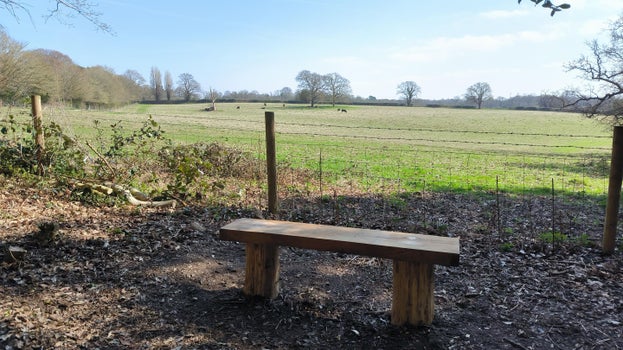 Image of a bench seat looking out over green pasture with livestock and trees in the distance on a sunny day
