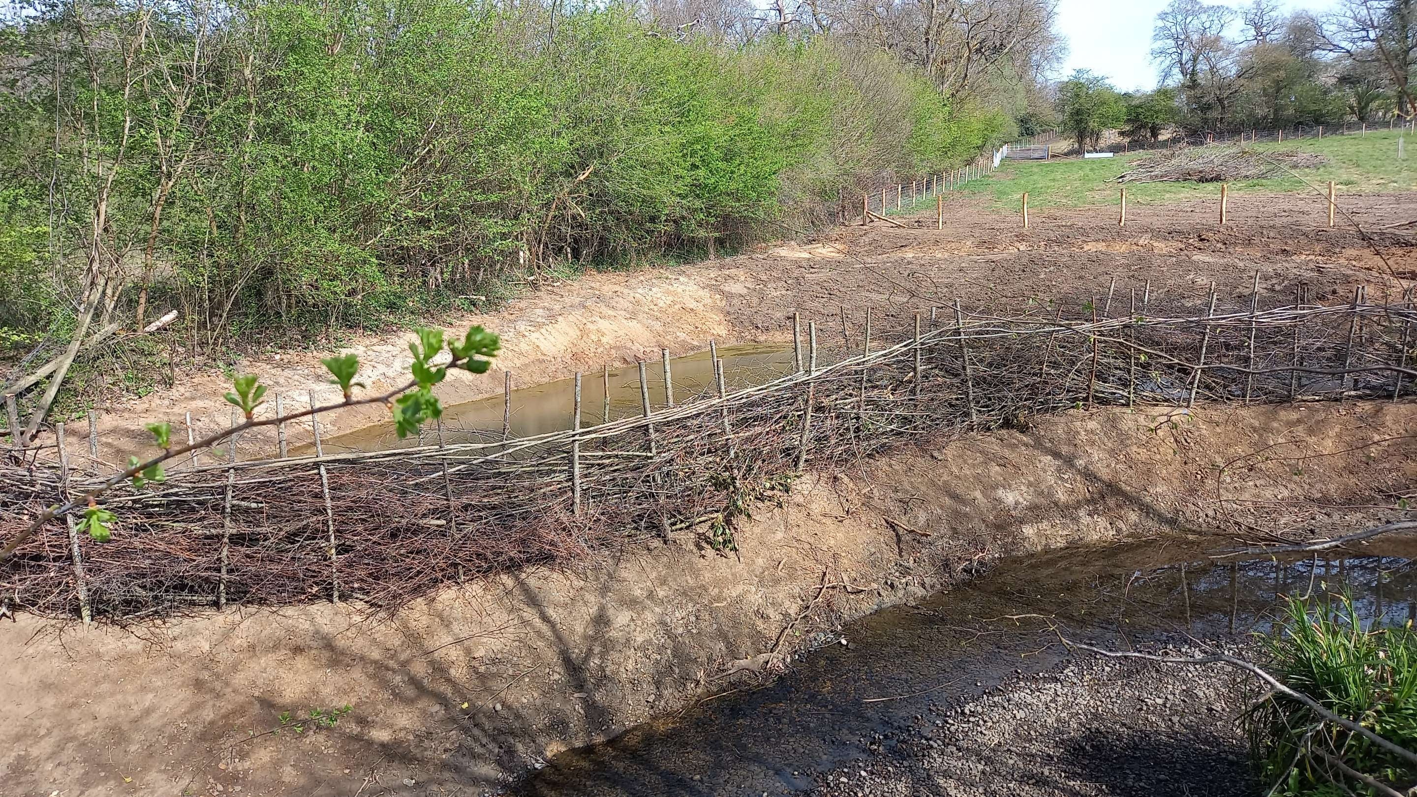 Image of a small stream with steep banks and natural woven fencing on a sunny day