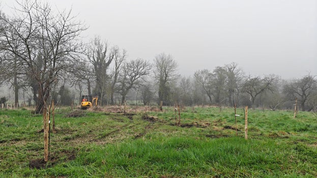Image of trees being planted with an excavator in a grassy field on an overcast and misty day