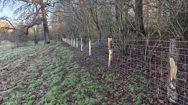 Image of a new fence with locally sourced chestnut fence posts on a bright morning with frost on the ground.