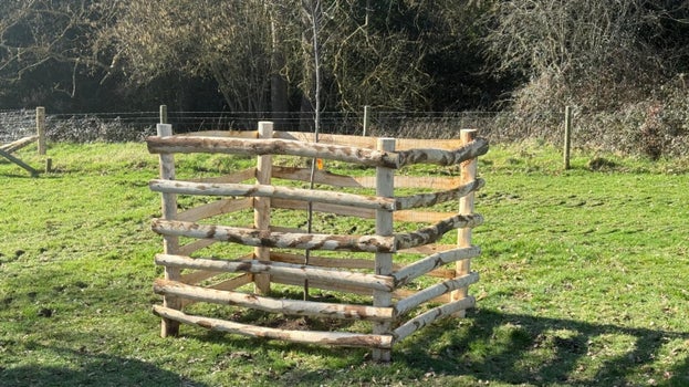 Image of a post-and-rail fence around one of the just-planted standard trees, to protect the growing tree from cattle rubbing against it.