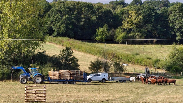 An image of a large field with vehicles in the distance delivering fencing materials, with a herd of cattle looking on