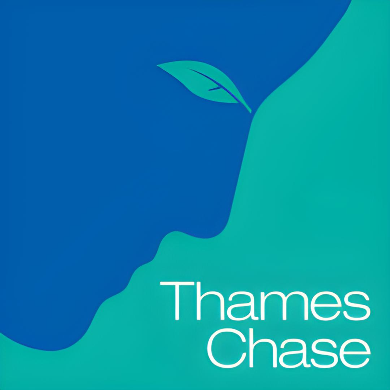 Thames Chase
