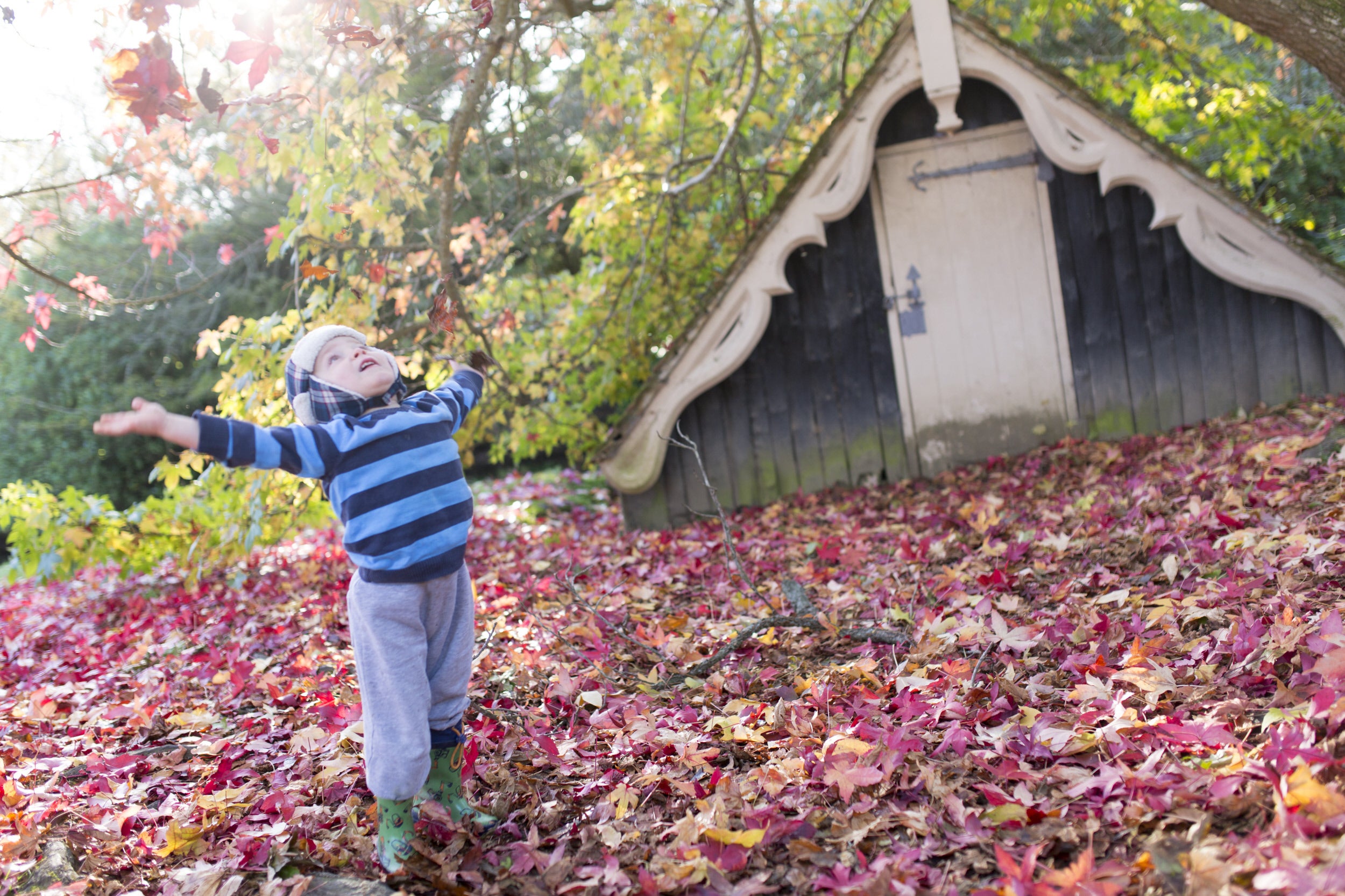 Child playing, Scotney Castle, Autumn