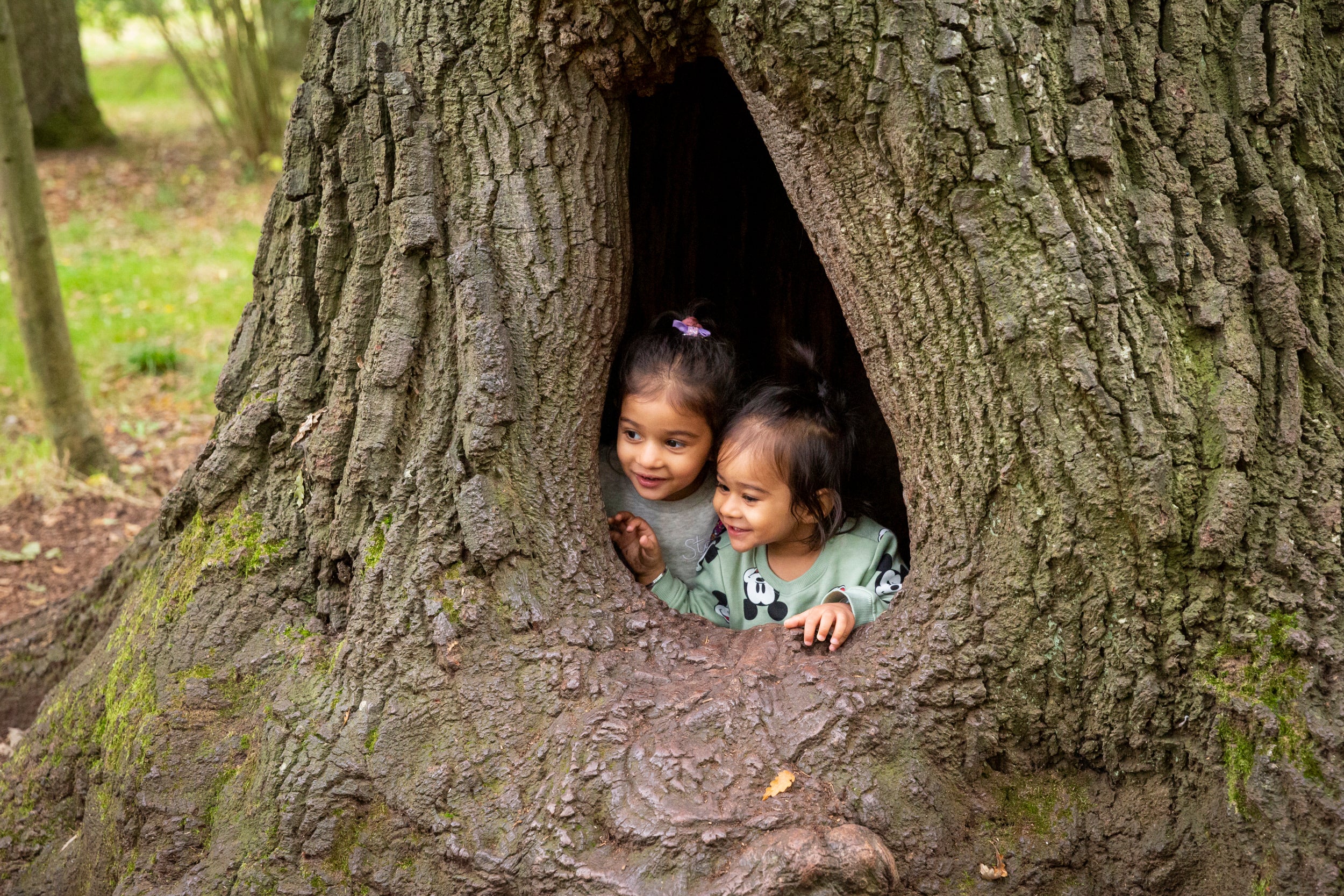 Children looking out from a tree hole