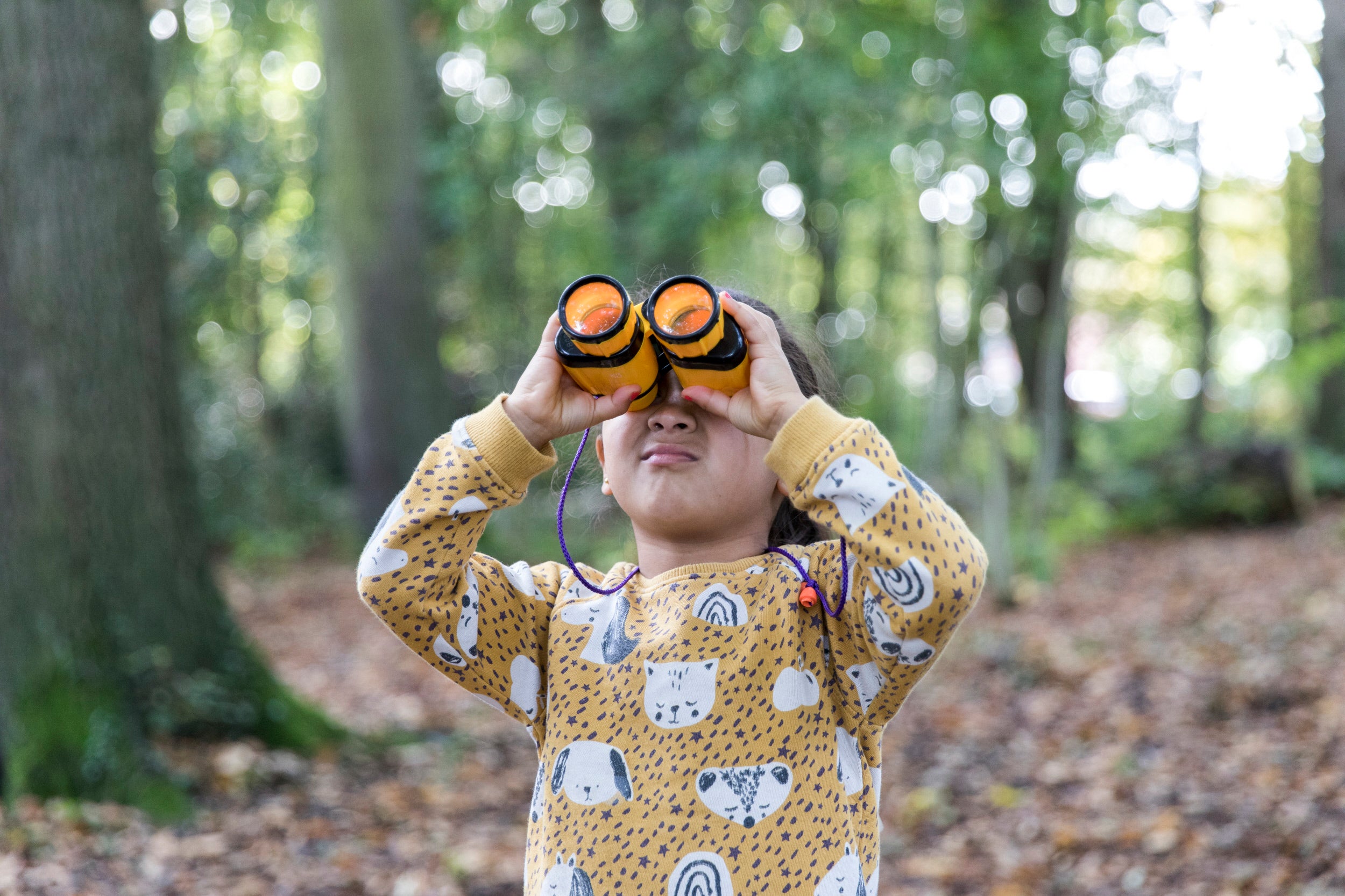 Child exploring the woodland