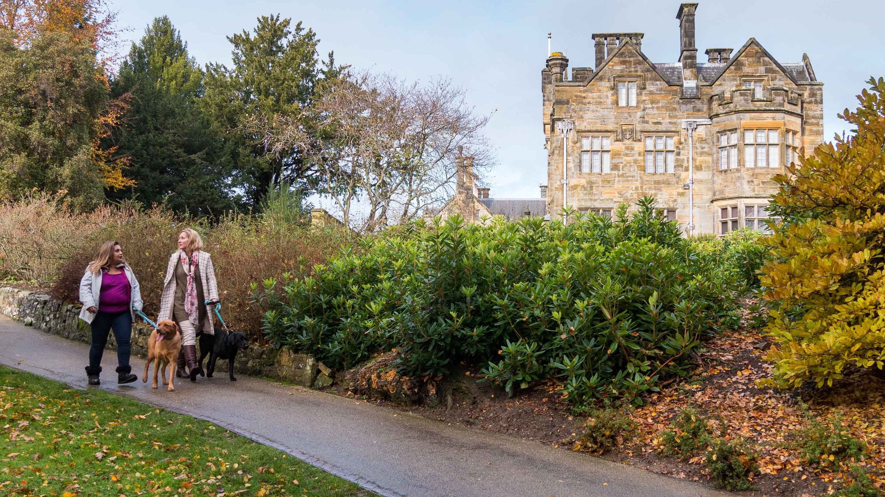 Two people walking their dogs down a path in the garden at Scotney Castle in Kent with the stone facade of the house in the background