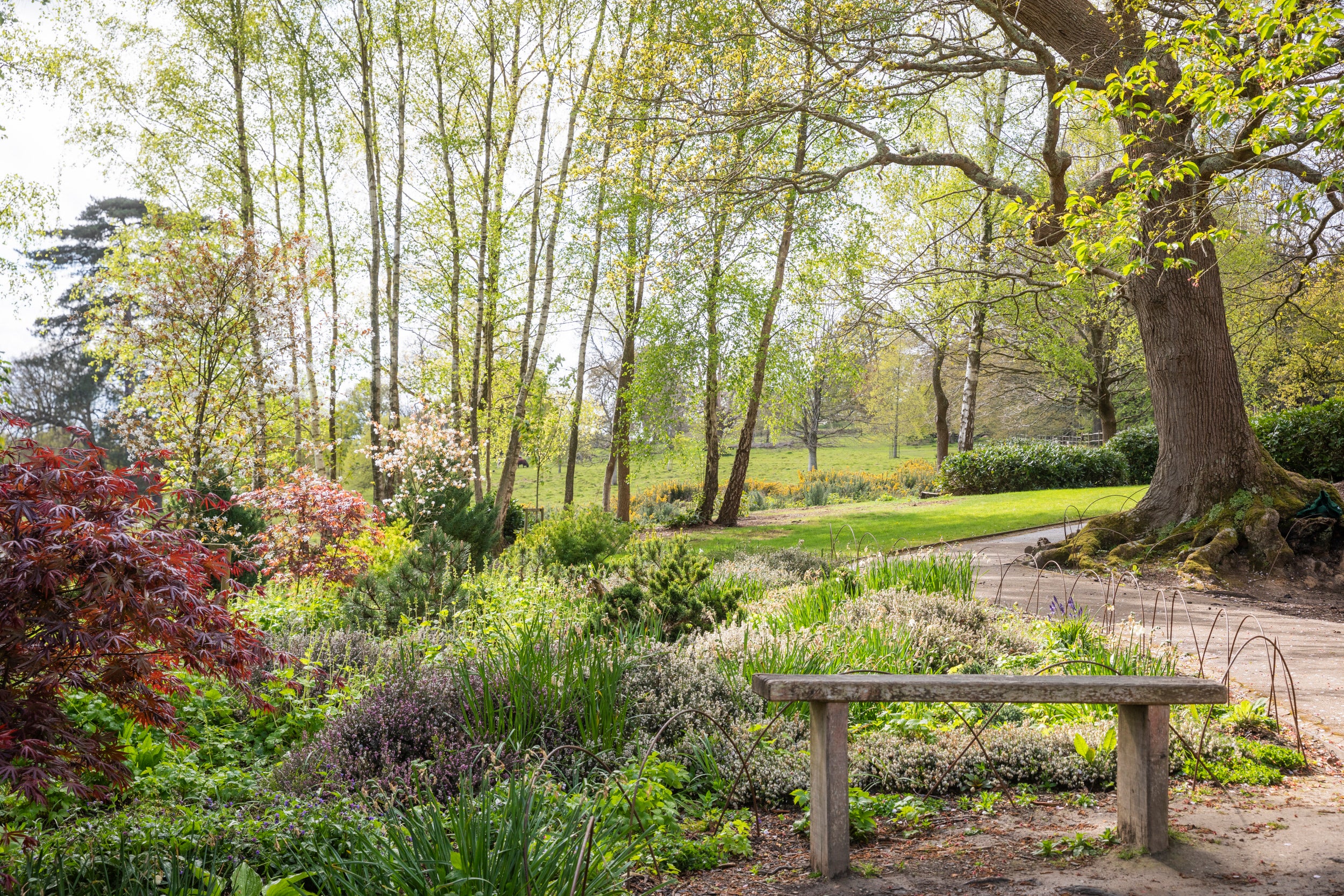 The spring garden at Scotney Castle