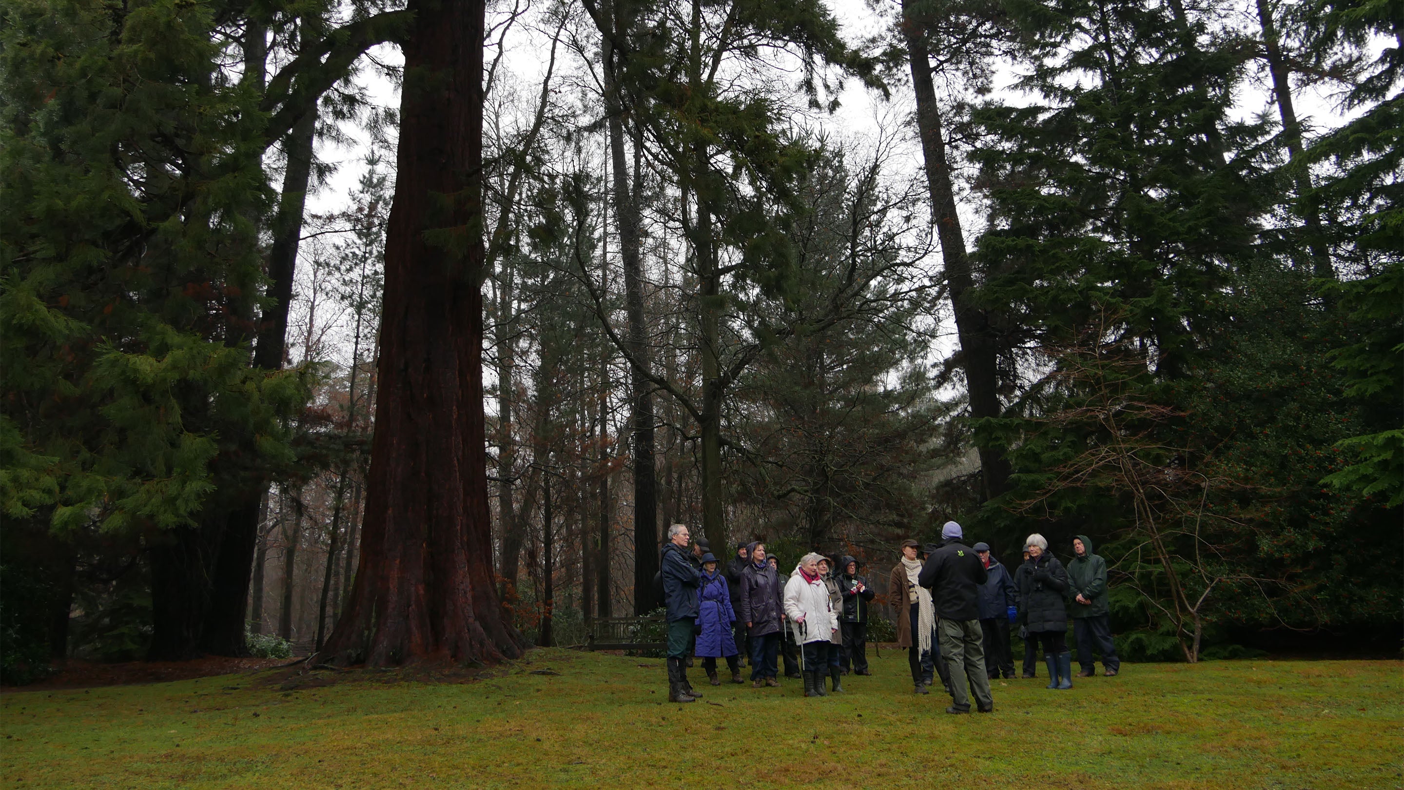 A tour group in woodland at Scotney Castle, Kent