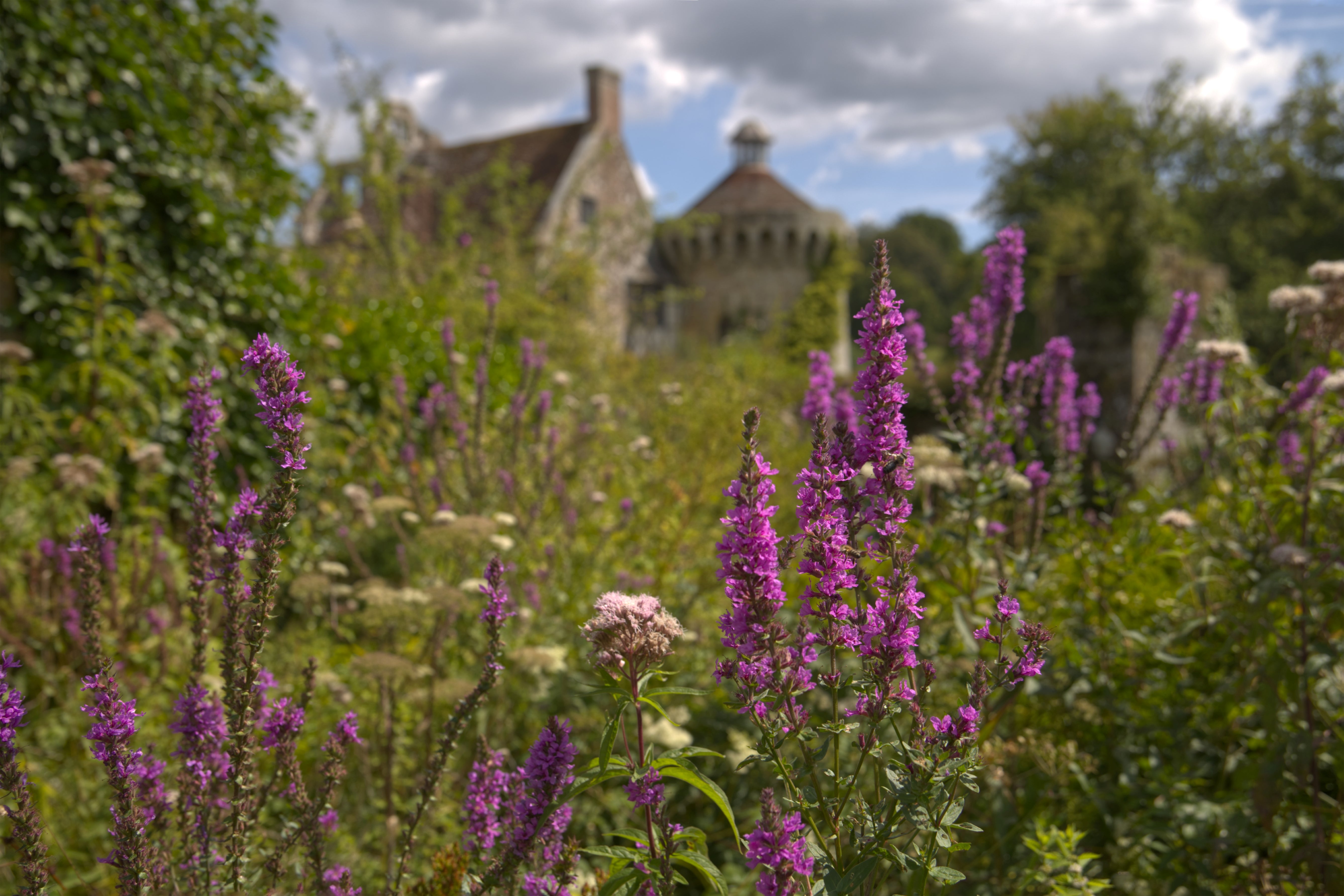 Summer scene at Scotney Castle, Kent