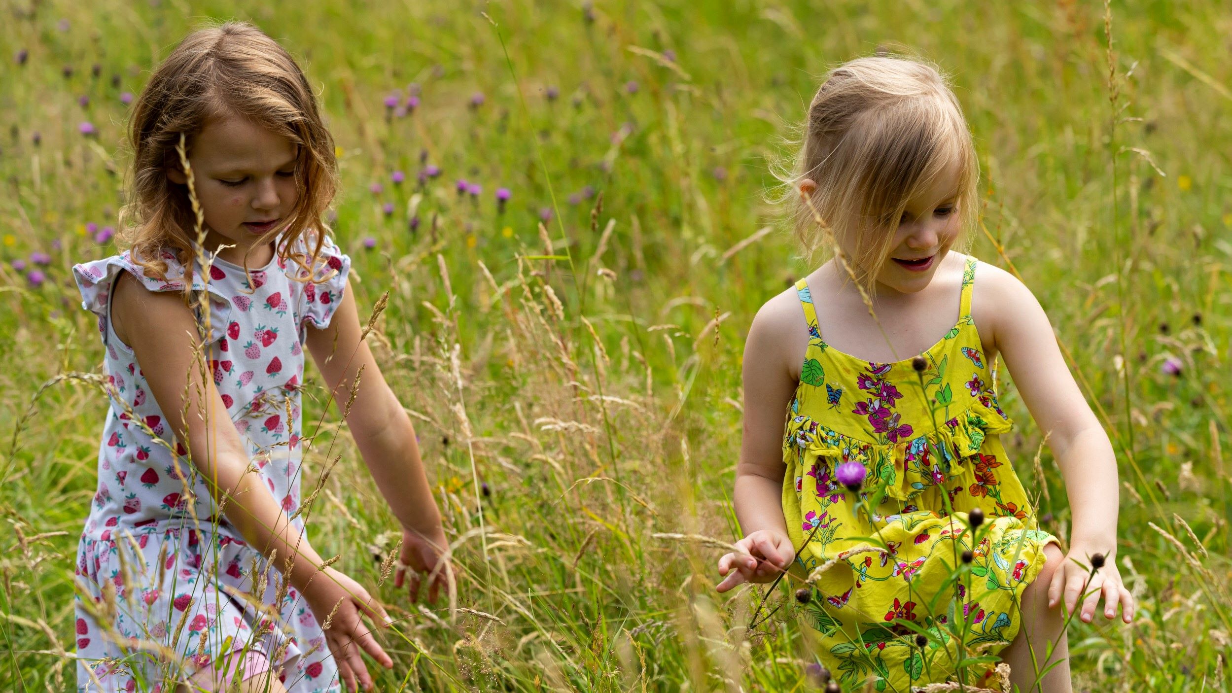 Two girls in summer dresses walking in a wildflower meadow