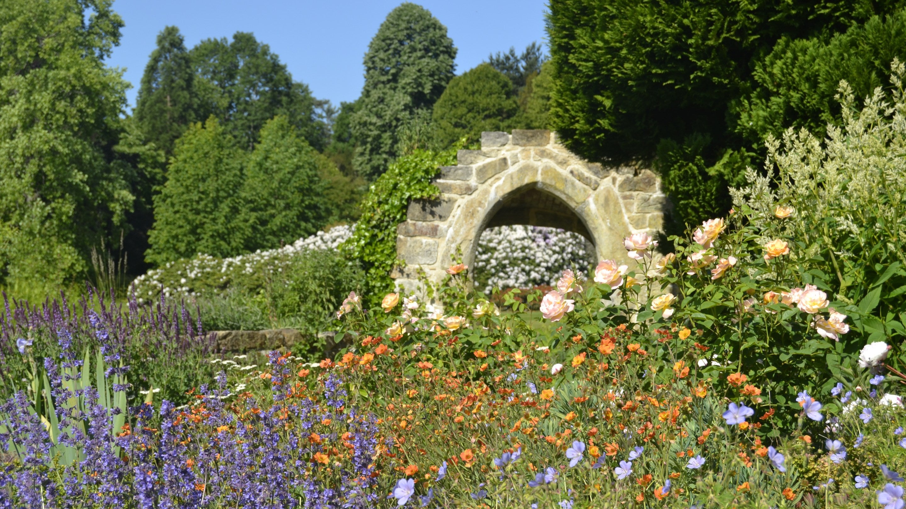 Flowers in the Old Castle border at Scotney Castle, Kent