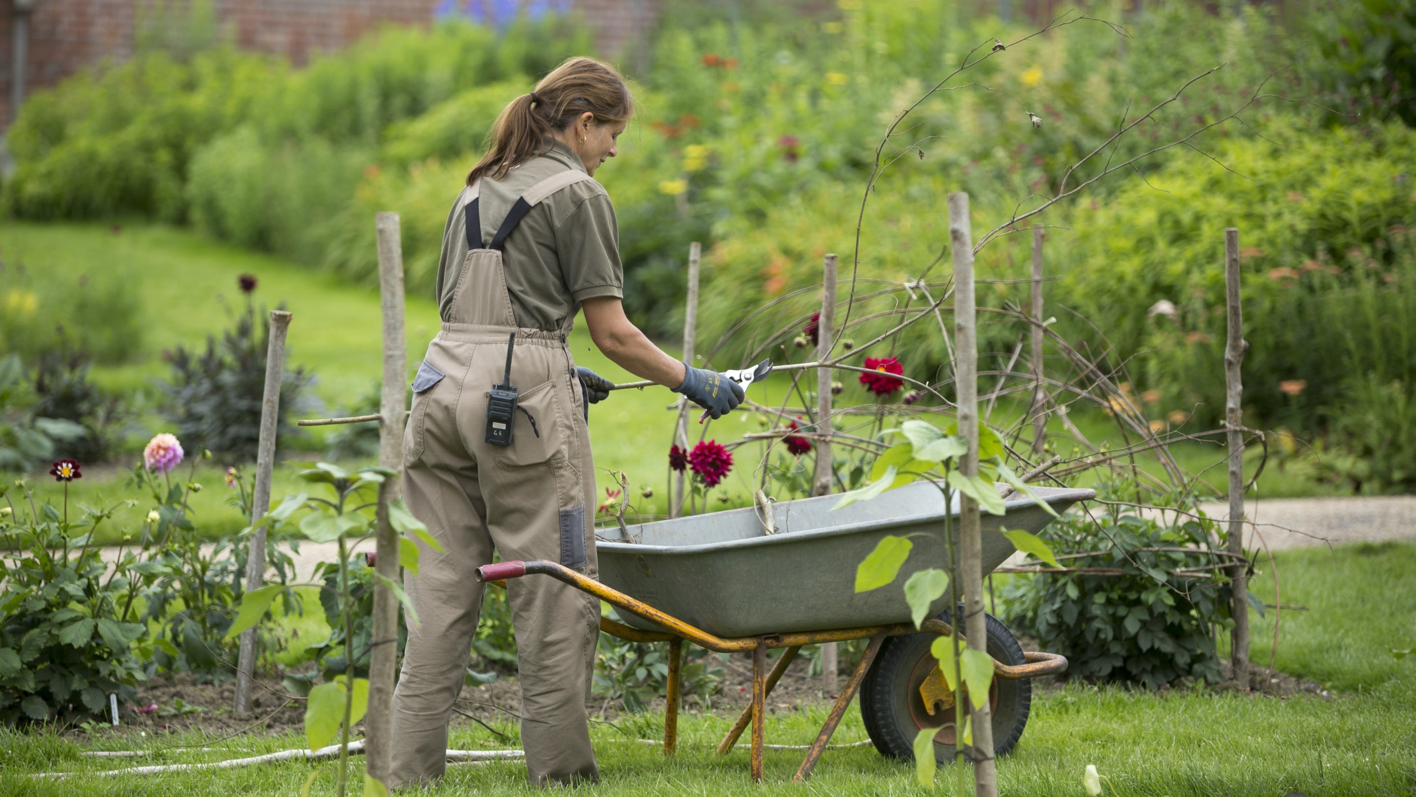 A gardener with a wheelbarrow working in the walled garden at Scotney Castle in Kent