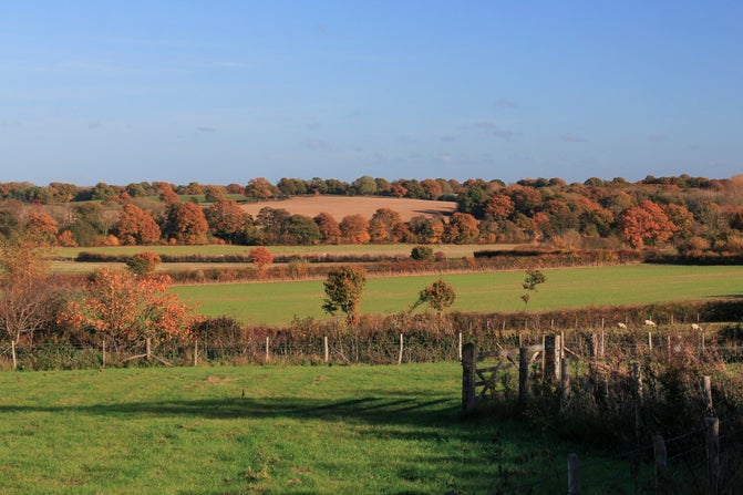 Autumnal colours across the Sissinghurst estate