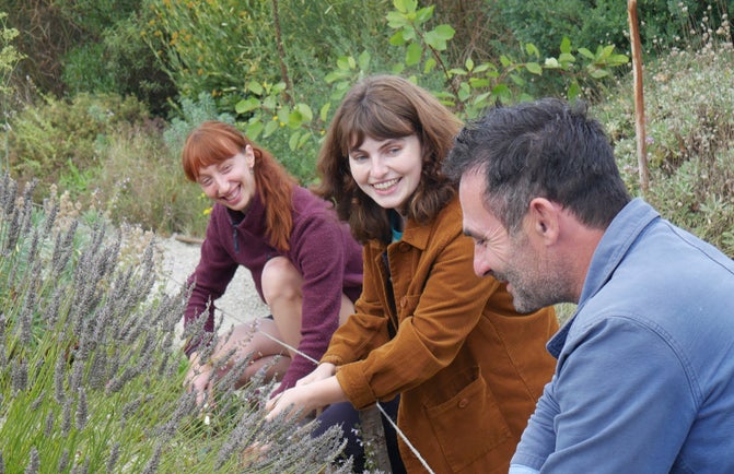 Three gardeners kneel along a path, tending to plants