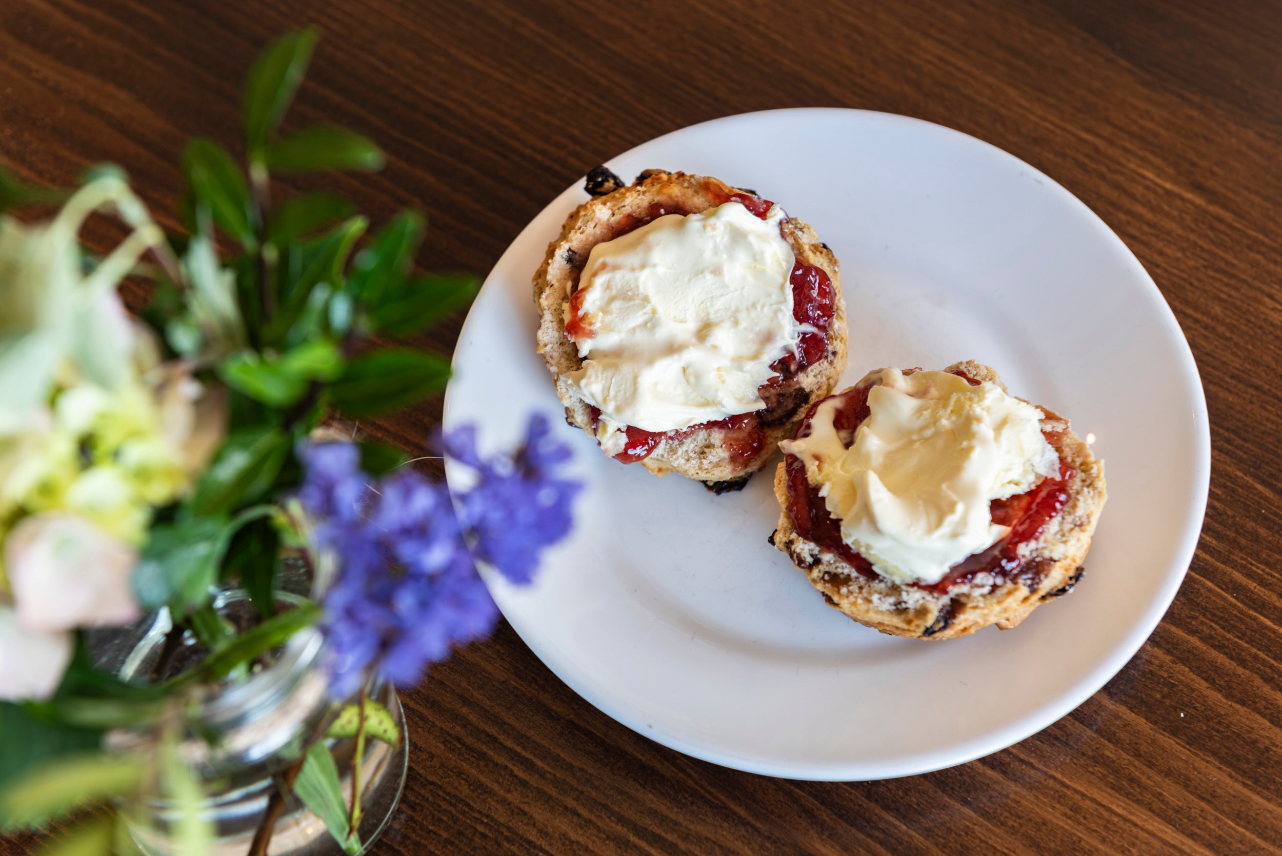 Scones on a plate with jam and clotted cream.
