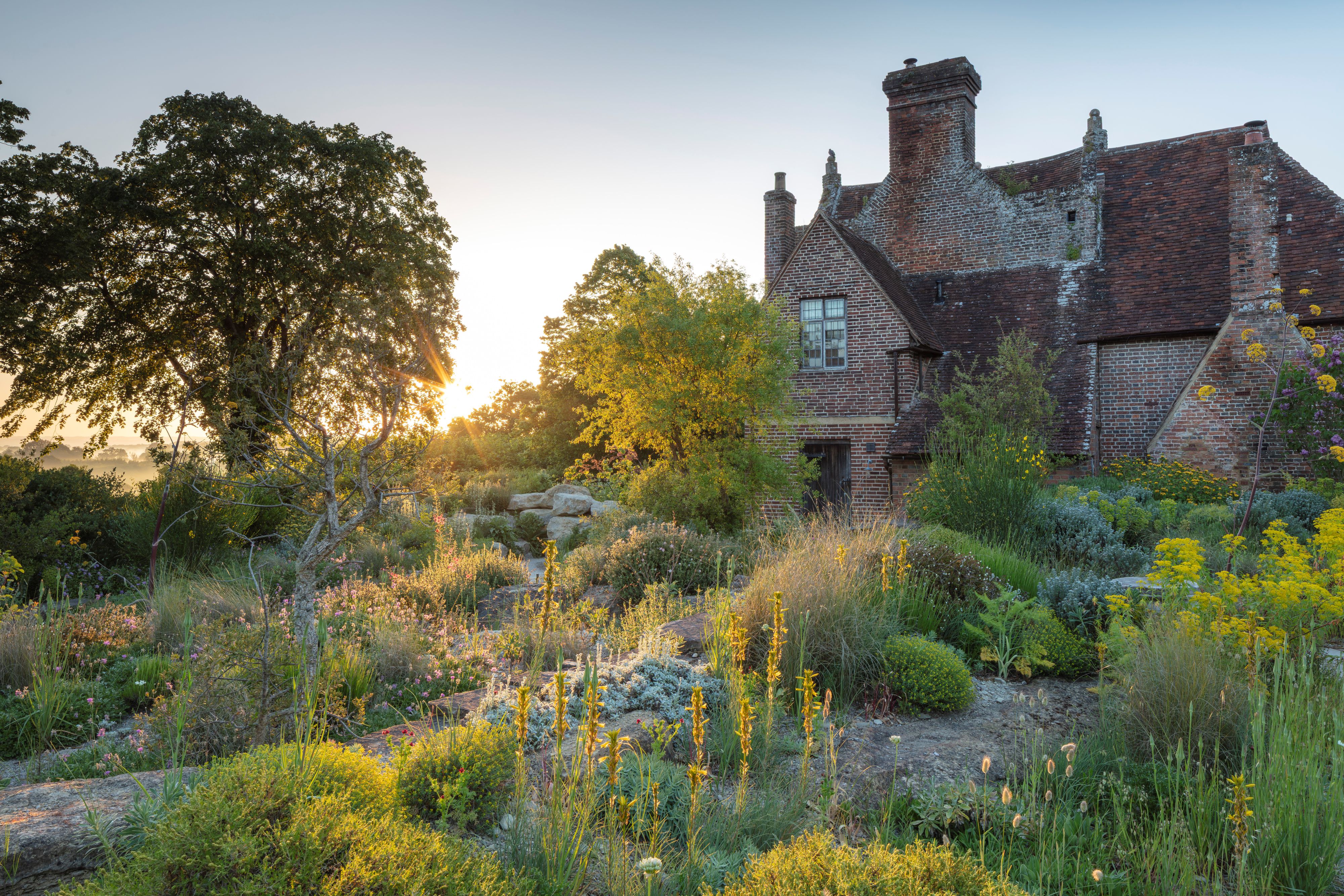 Sun bathes yellow asphodel spikes, with the new 'ravine' visible behind