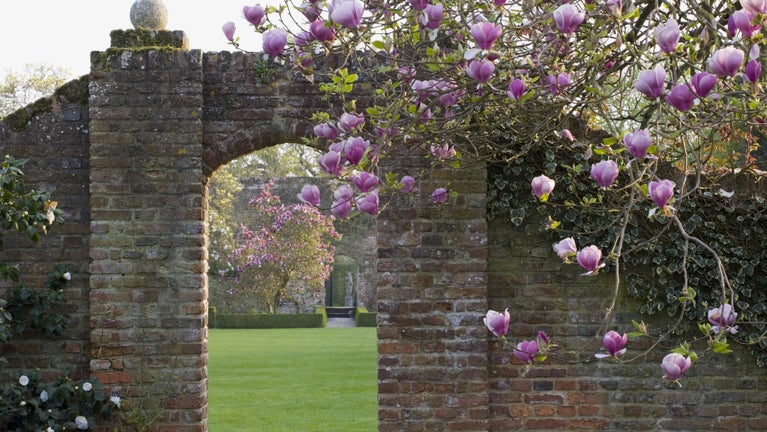 Sissinghurst Spring The garden at Sissinghurst | Kent | National Trust
