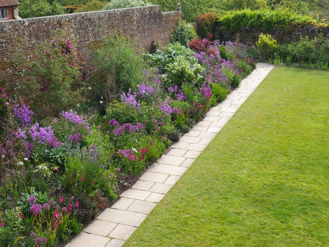 A border of purple flowers along a stone path