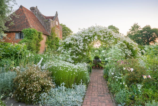 Rosa Mulliganii in full bloom at Sissinghurst Castle Garden in June