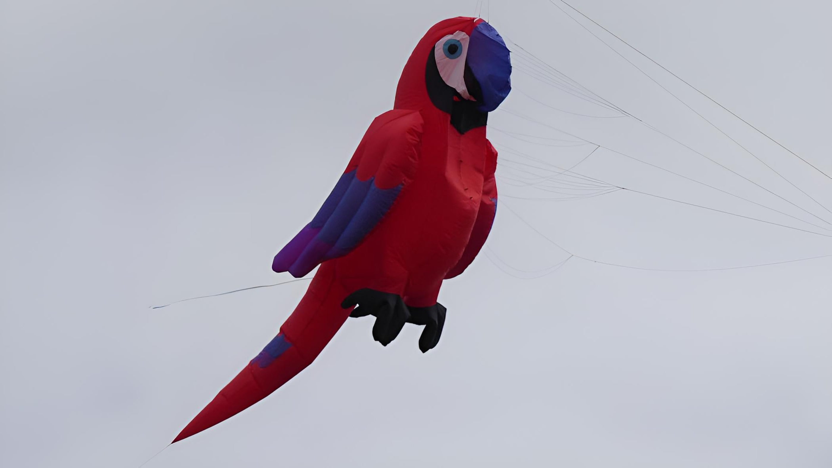 Image of a large kite in the shape of a colourful parrot