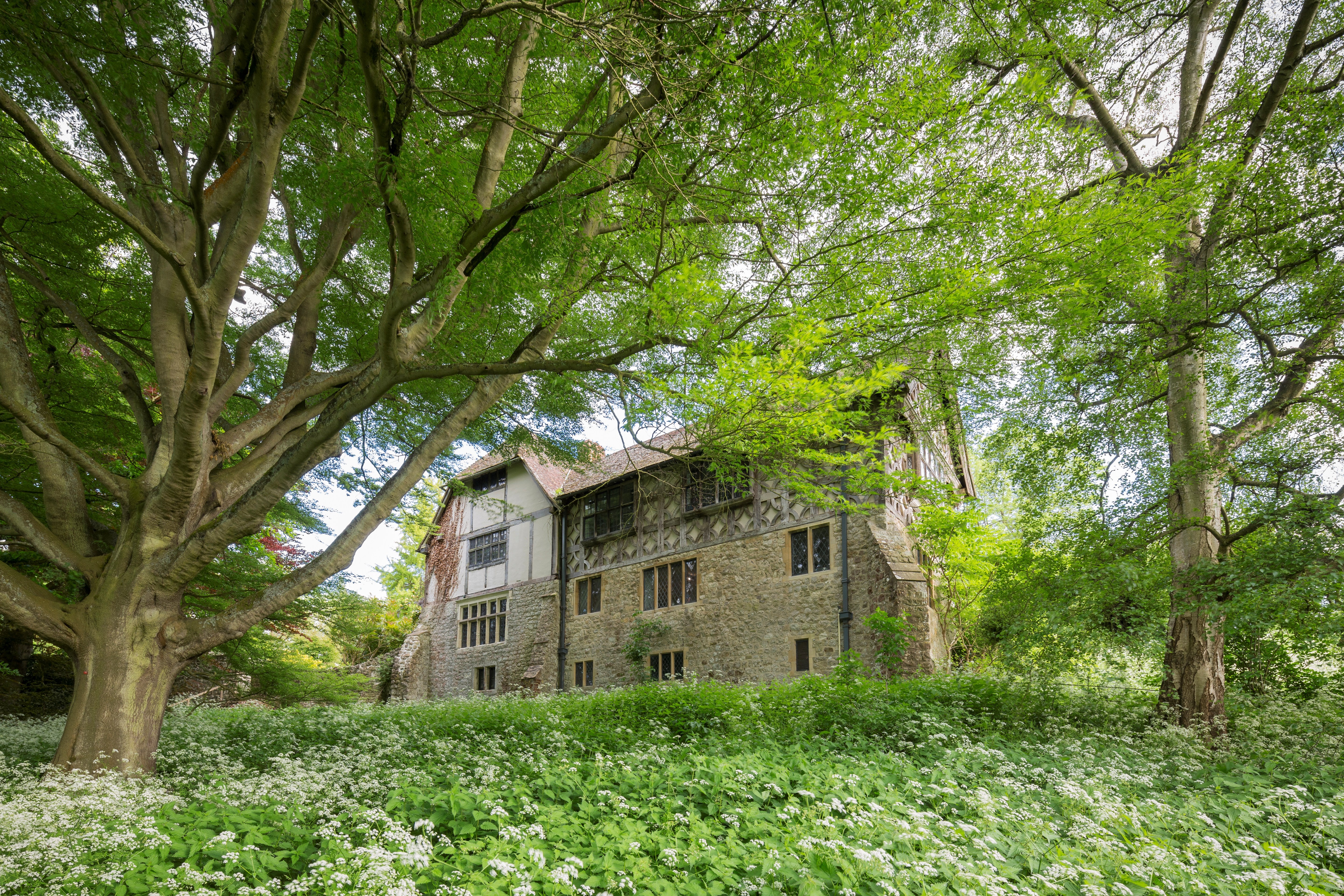 Looking up at the house from the meadow at Stoneacre, Kent. Grass and wildflowers cover the meadow in abundance during the summer months, with the cow parsley growing up to waist height.