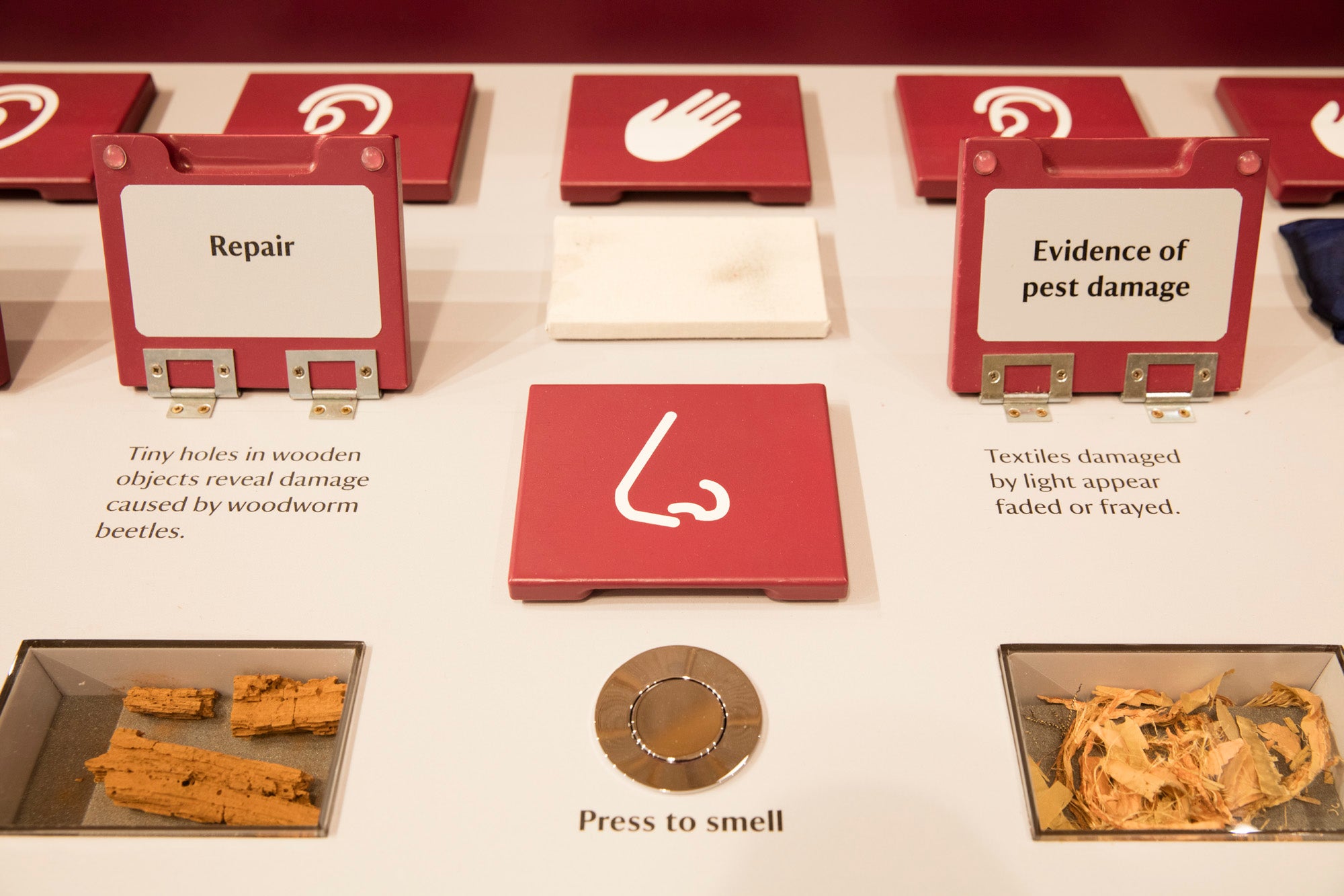 A flat surface with red flaps with white symbols on, a gold button that says "Press to smell". There is writing about the senses used in conservation under the flaps.