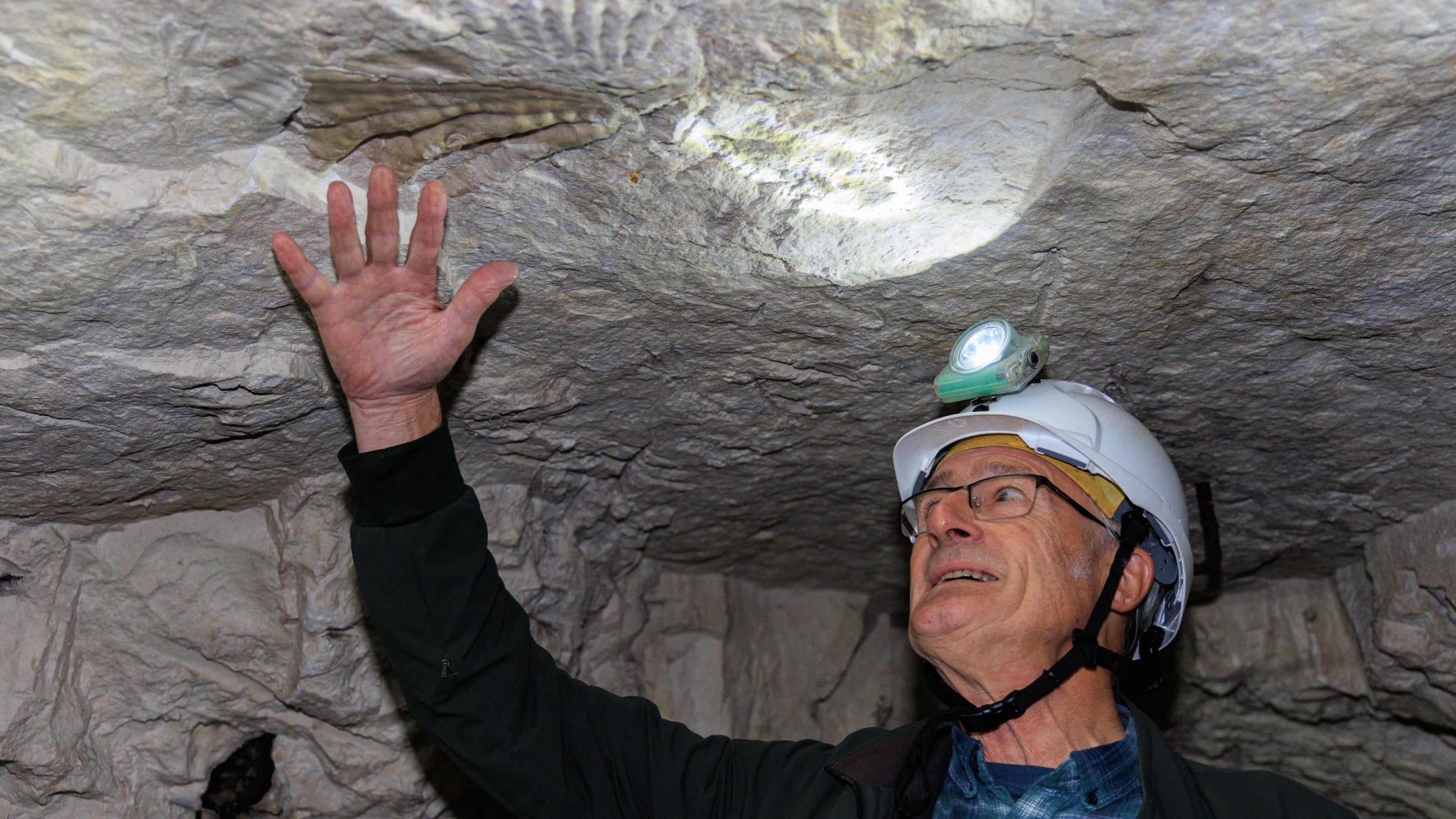Image of a visitor to Fan Bay Deep Shelter examining one of the fossils in the chalk