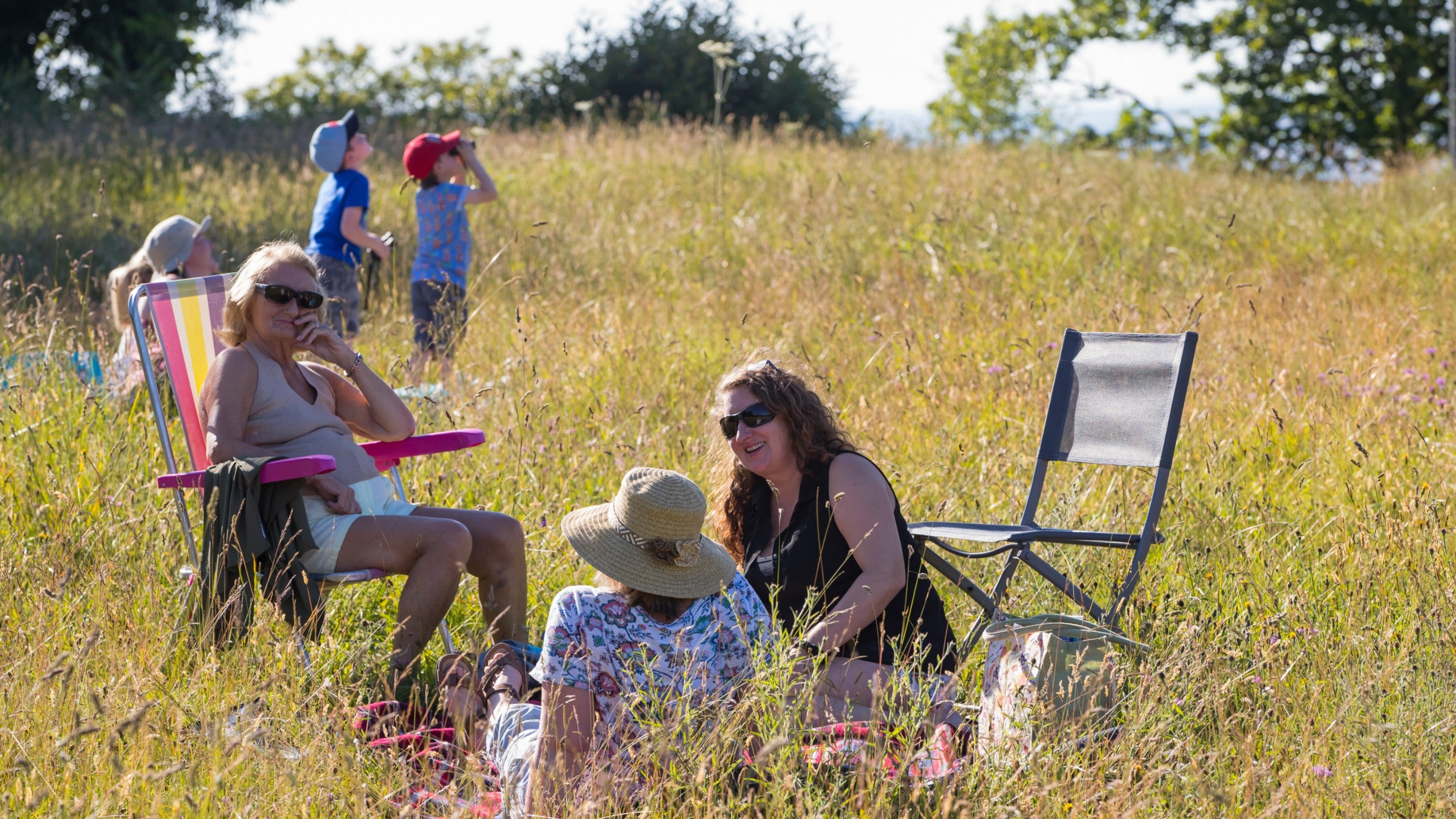 Image of a group of people having a picnic in long grass in the summer