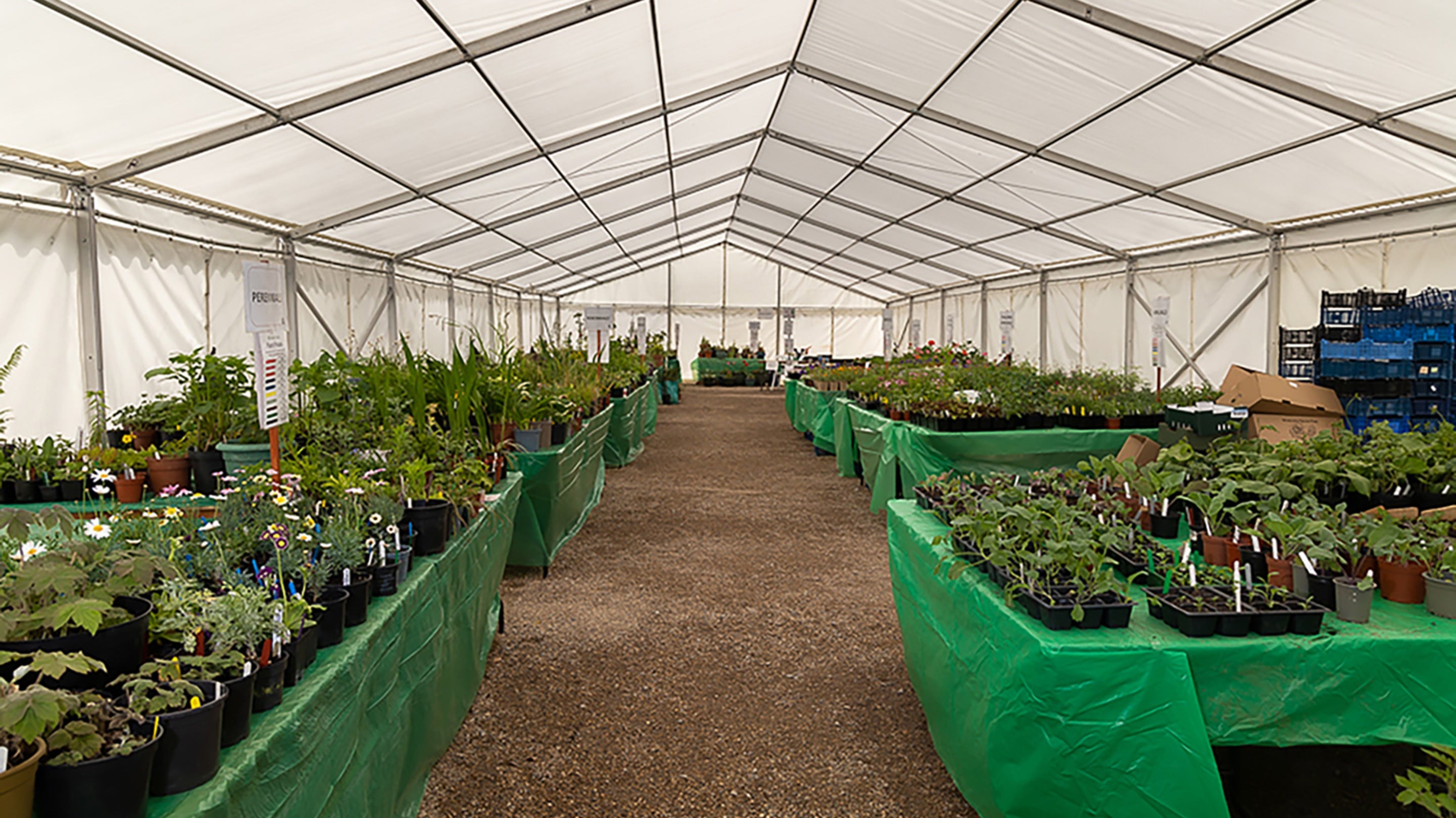 Image showing the inside of a large marquee lined with benches full of plants ready for sale