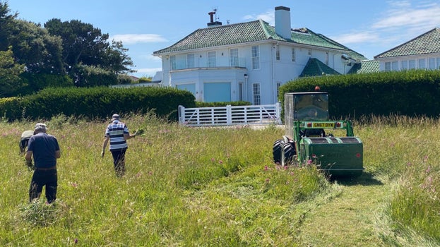 The countryside team hand-pulling, mowing and collecting to limit the spread of a pink-flowering invasive species on a sunny day