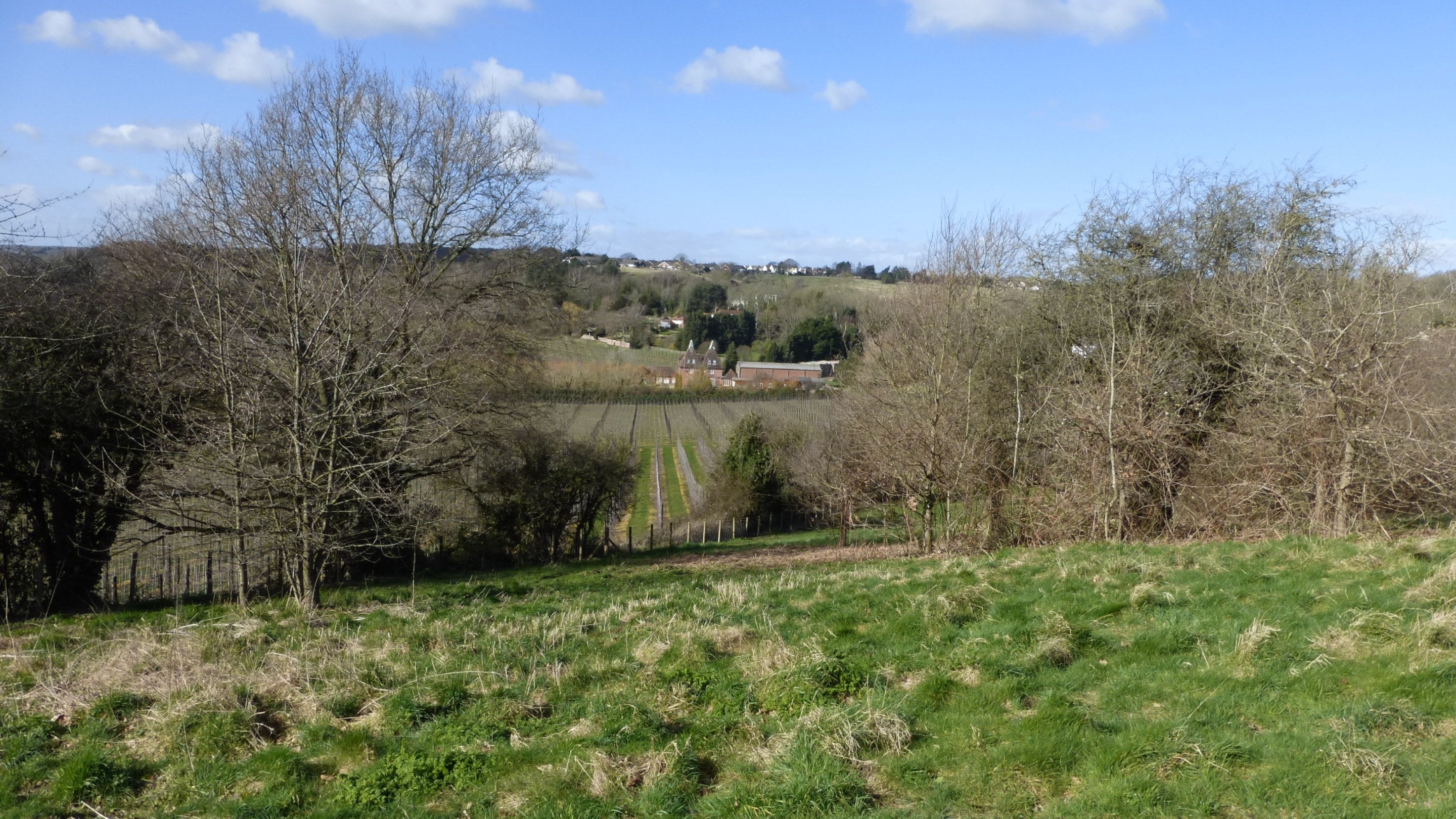 Image of a rolling countryside on a sunny day