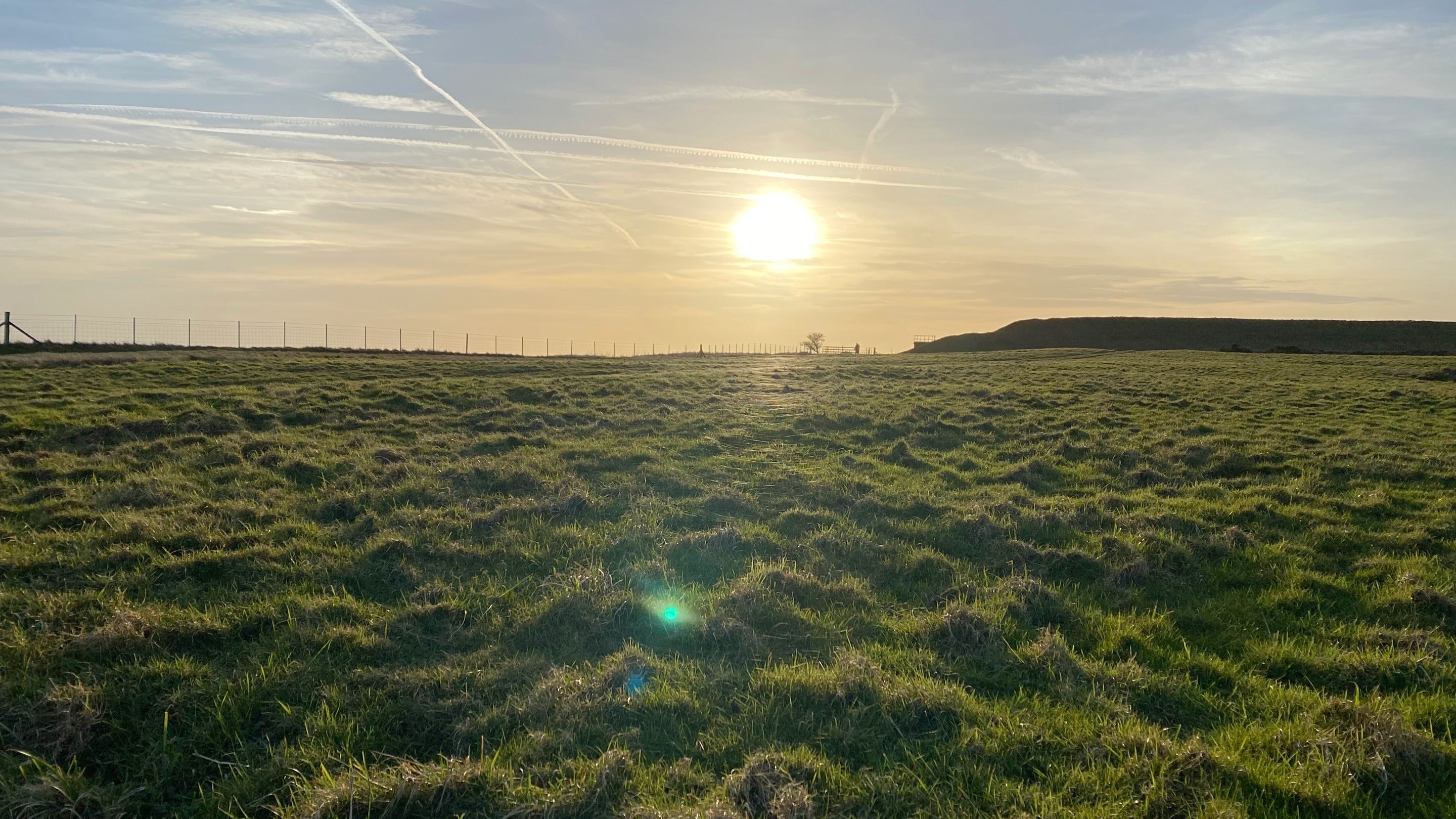 Image of a field with long grass and a setting sun