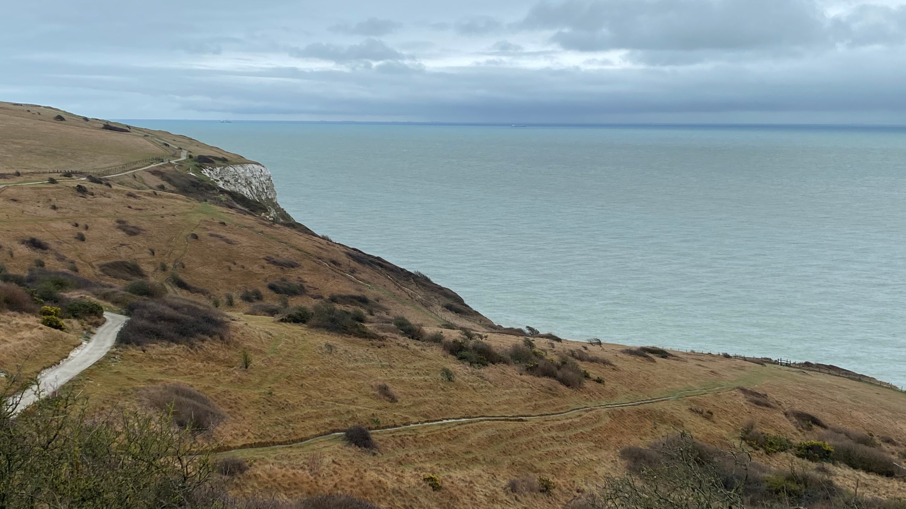 Image of rolling clifftop grassy chalk downland with footpaths