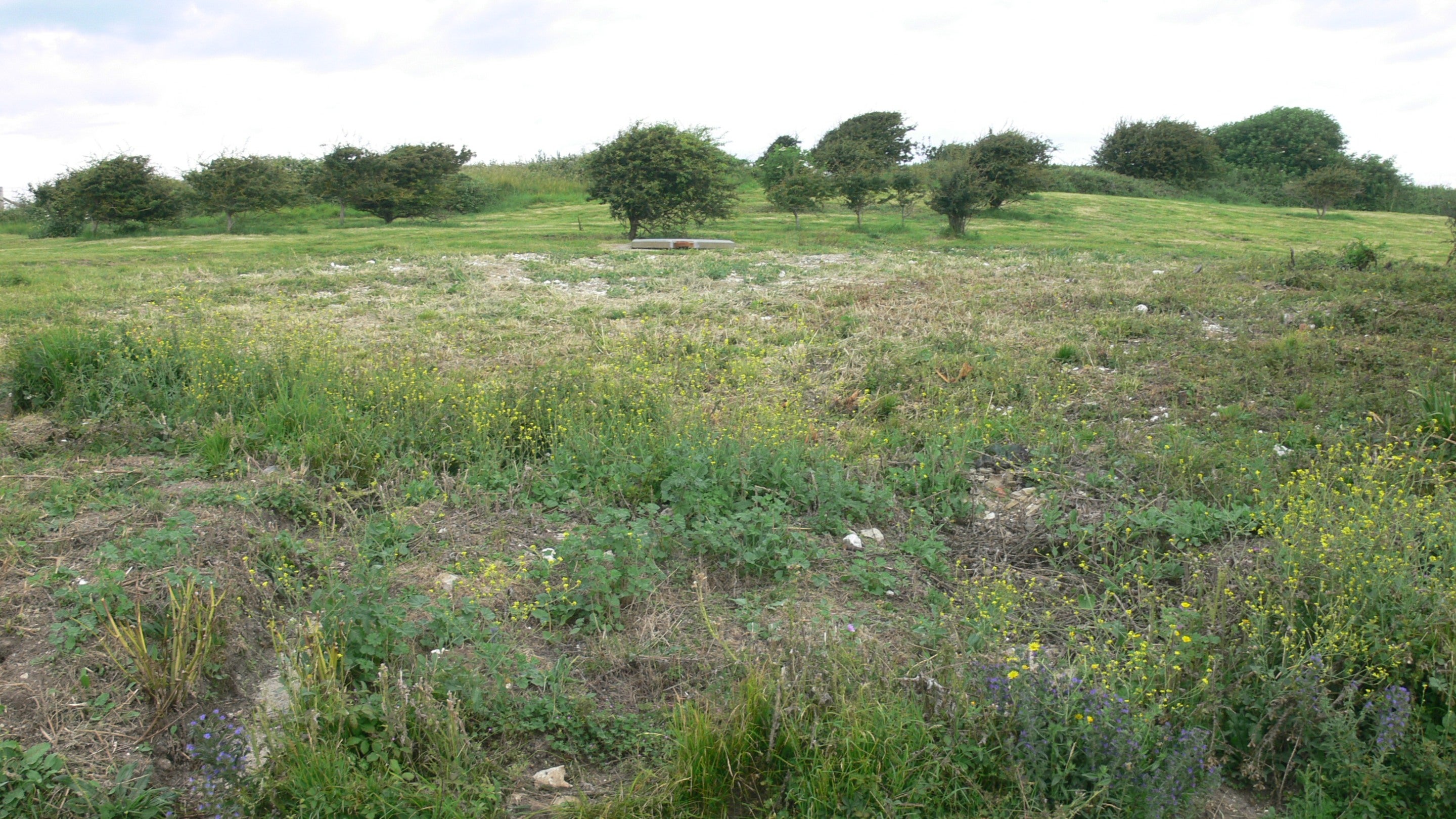 An image of a sloping field with a metal hatch in the distance.