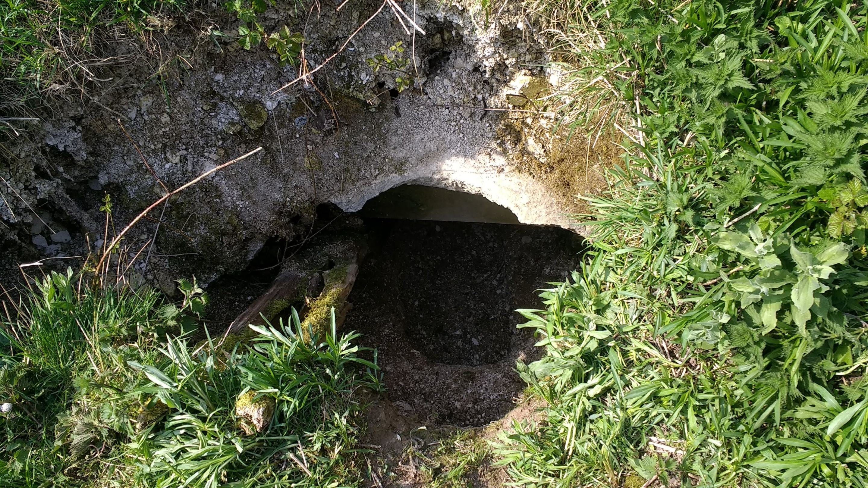 Image of a hole in the ground surrounded by grass which was the only way into the Fan Bay Number 3 emplacement magazine in 2018