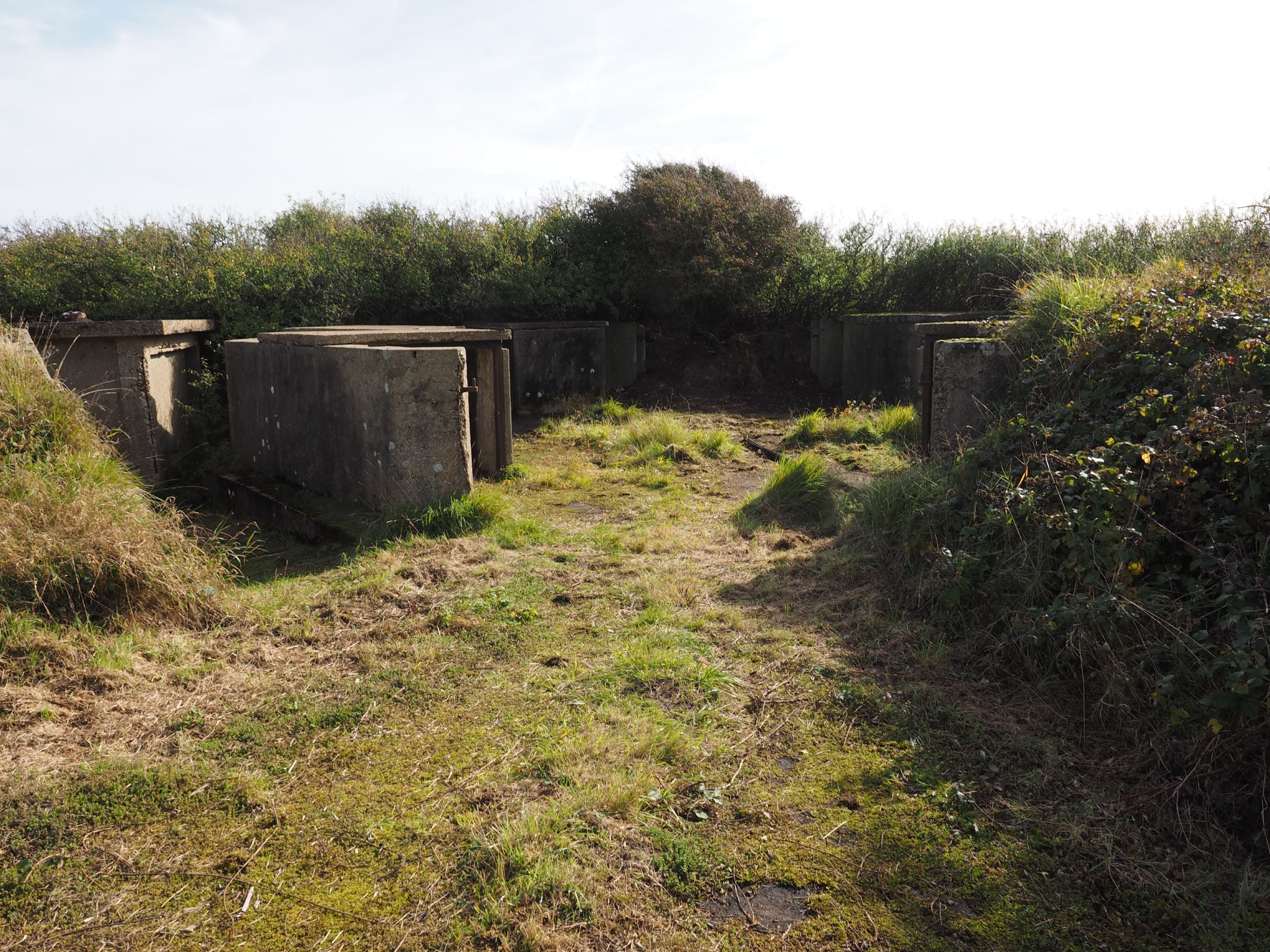 Image of one of the overgrown D2 heavy anti-aircraft gun emplacements and showing the shell stores that would have stood adjacent to the gun