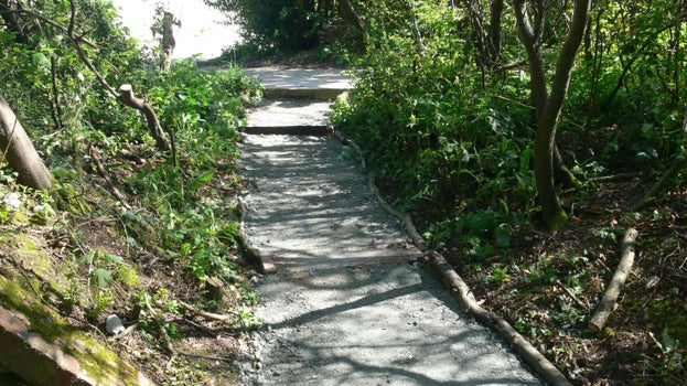Image of a series of steps on a tree-lined slope