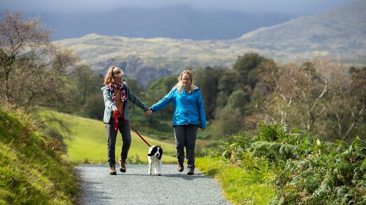 Two visitors holding hands whilst walking their dog at Tarn Hows, Cumbria