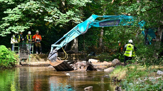 A digger removes a section of the weir on Crowdundle Beck, overseen by the project team and an archaeologist