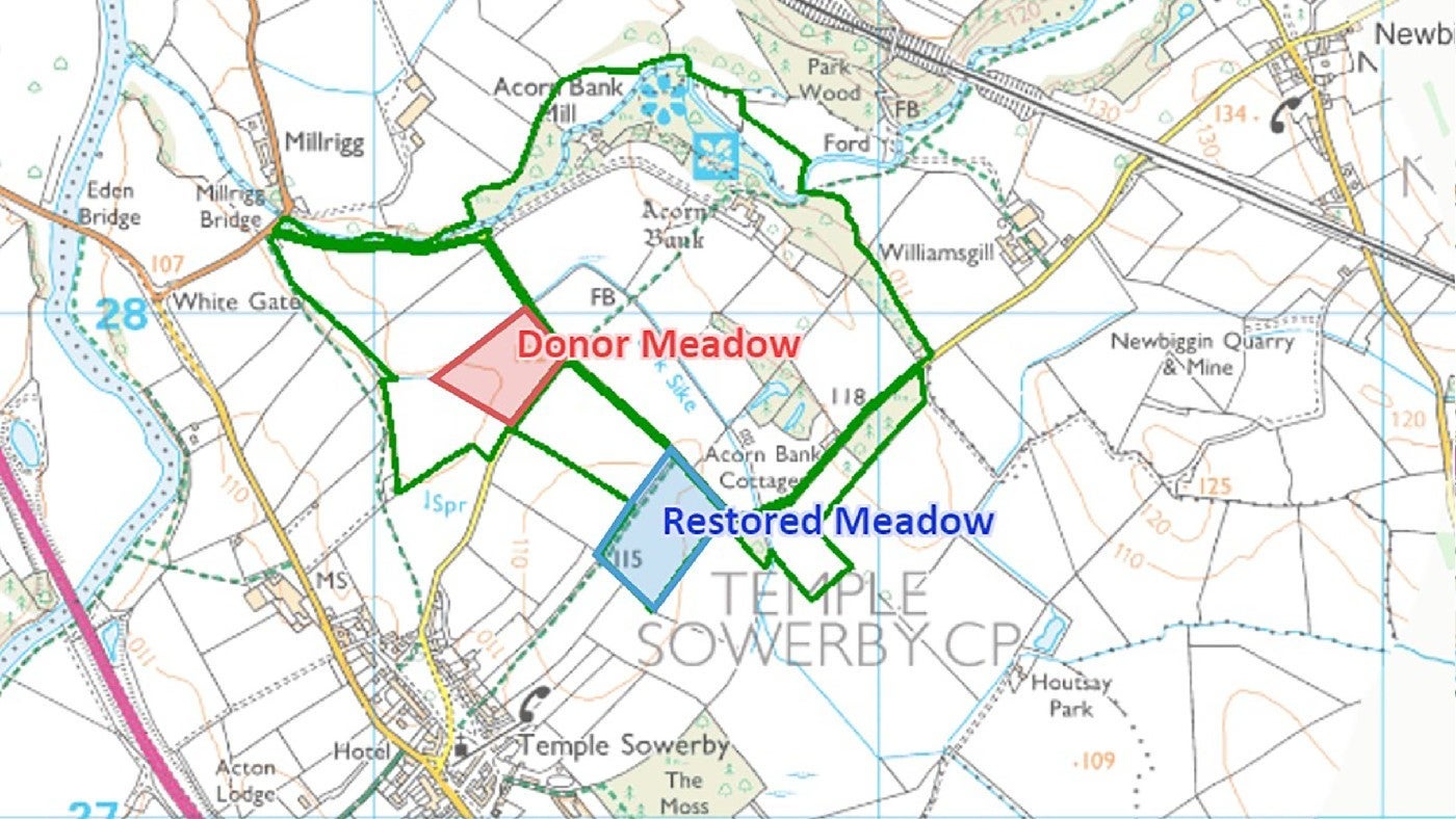Map of the newly created meadow at Acorn Bank