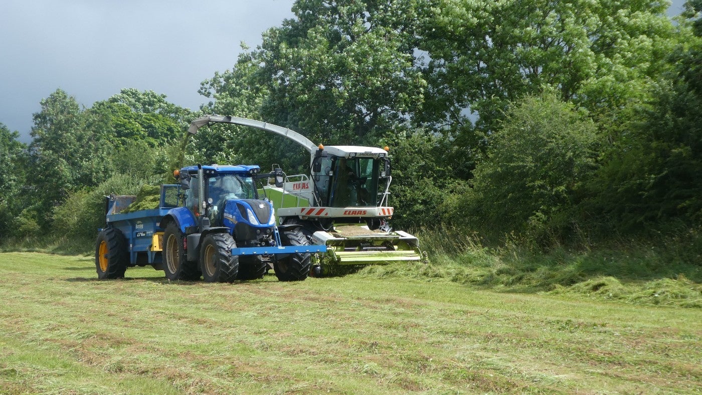 Cutting the donor meadow ready to transfer the seeds
