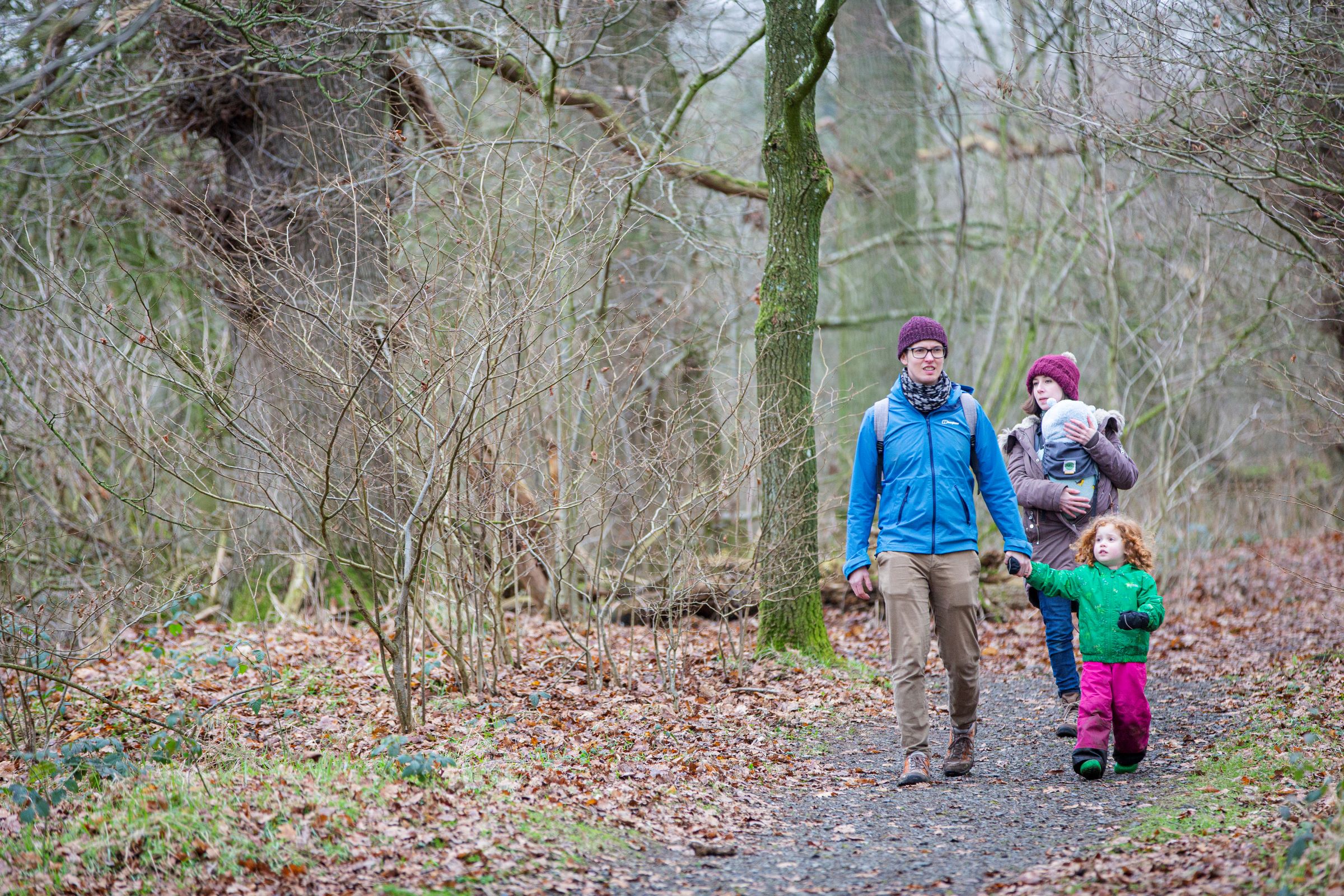Family of four - man in turquoise coat, holding the hand of a toddler in a green coat, and mother with a baby in a papoose wearing a wooly hat - walking through the woods at Acorn Bank.
