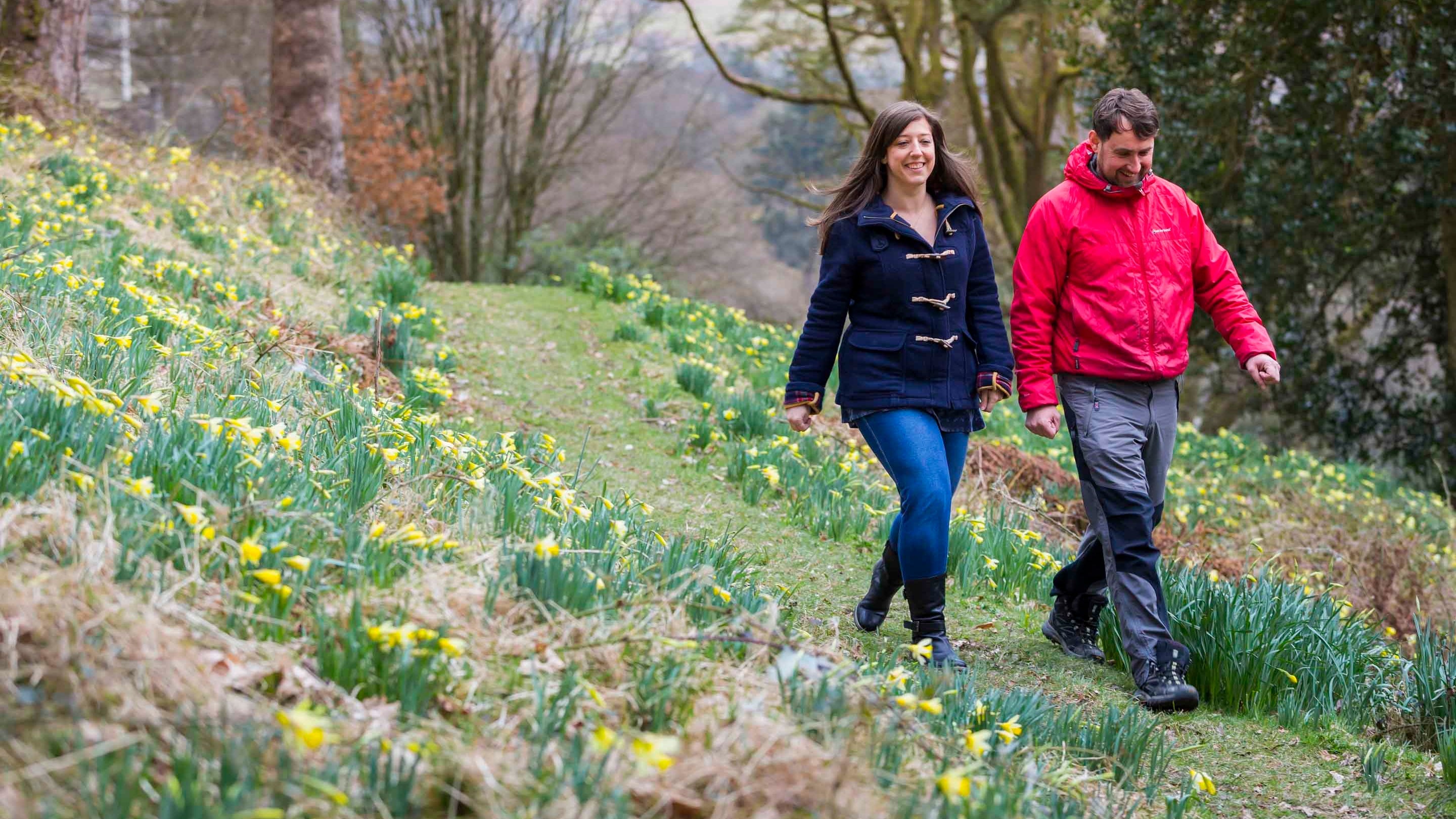 Visitors walking at Dora's Field, Cumbria