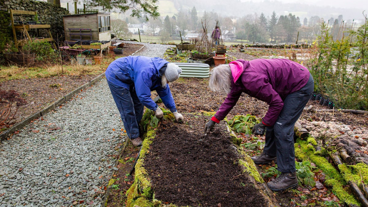 Discover gardening tips & inspiration | National Trust