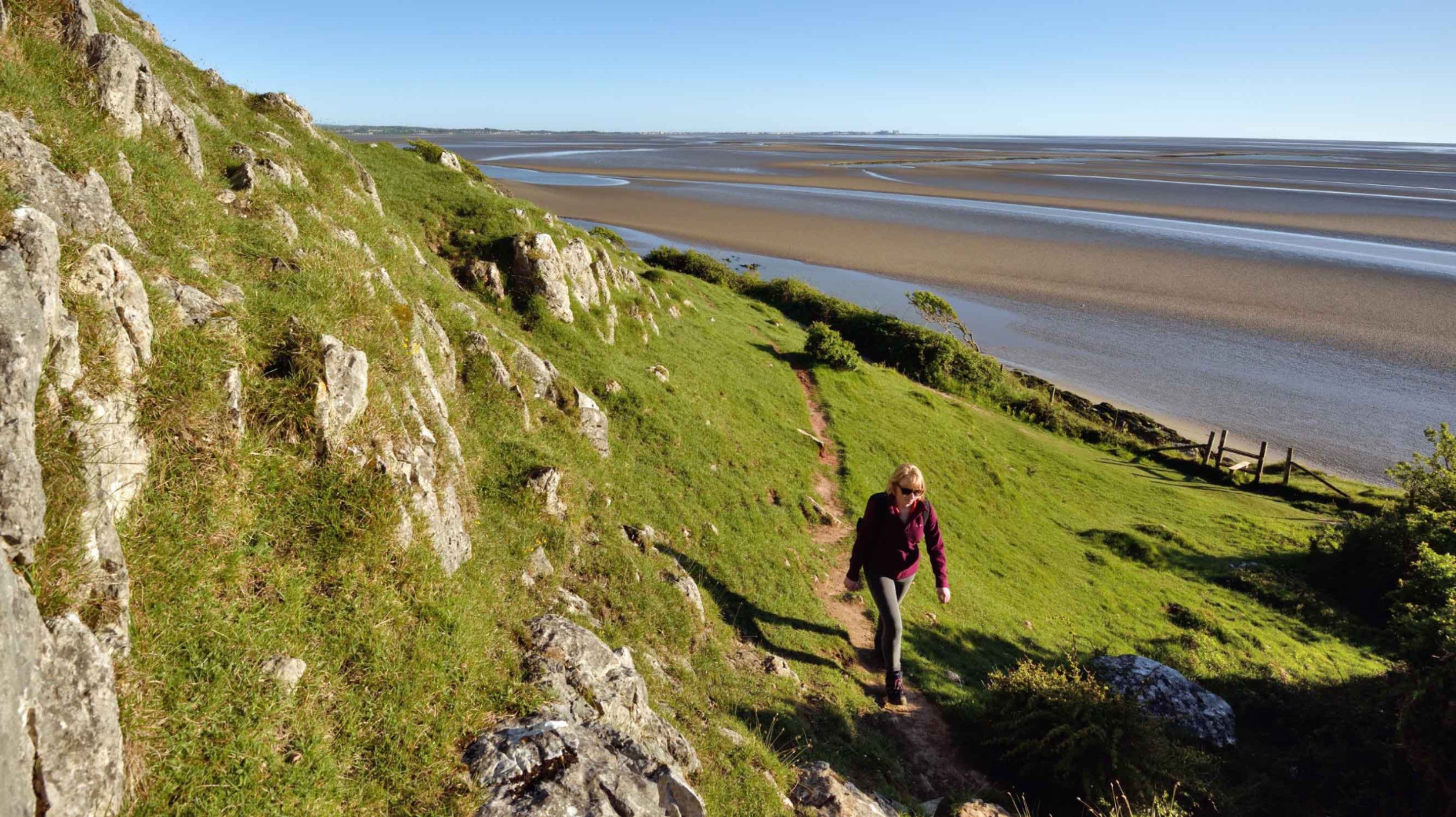 Visitor walking on Jack Scout's clifftop with sea views at Arnside and Silverdale, Lancashire