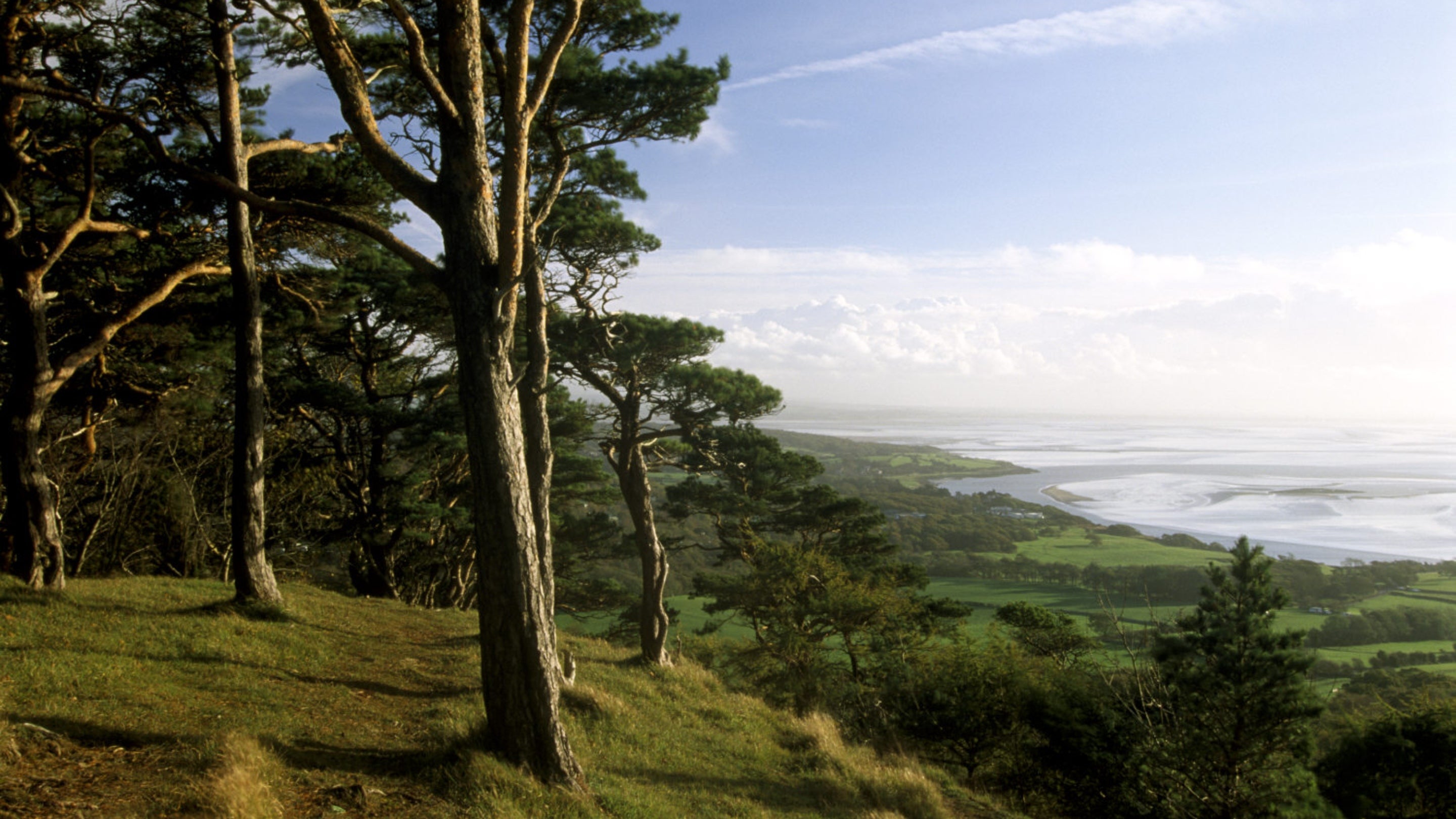 A landscape view of Silverdale and Morecambe Bay taken from  at Arnside Knott, looking across the bay on the right of the image, with trees visible in the foreground