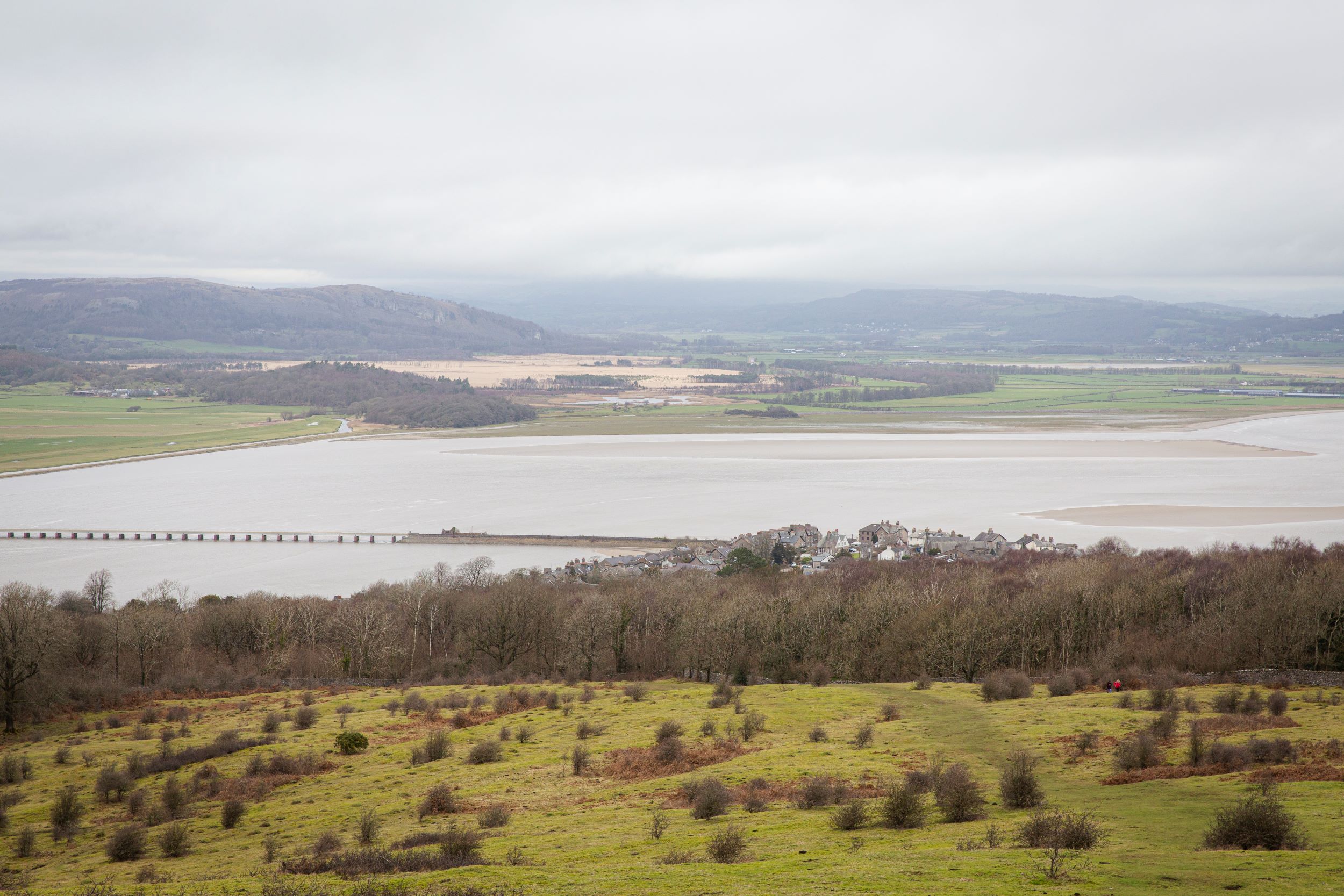 A view from Arnside Knott, with scrubland and trees which stretches out into the estuary. It's a grey day and there are clouds overhead. The viaduct at Arnside stretches out into the water.