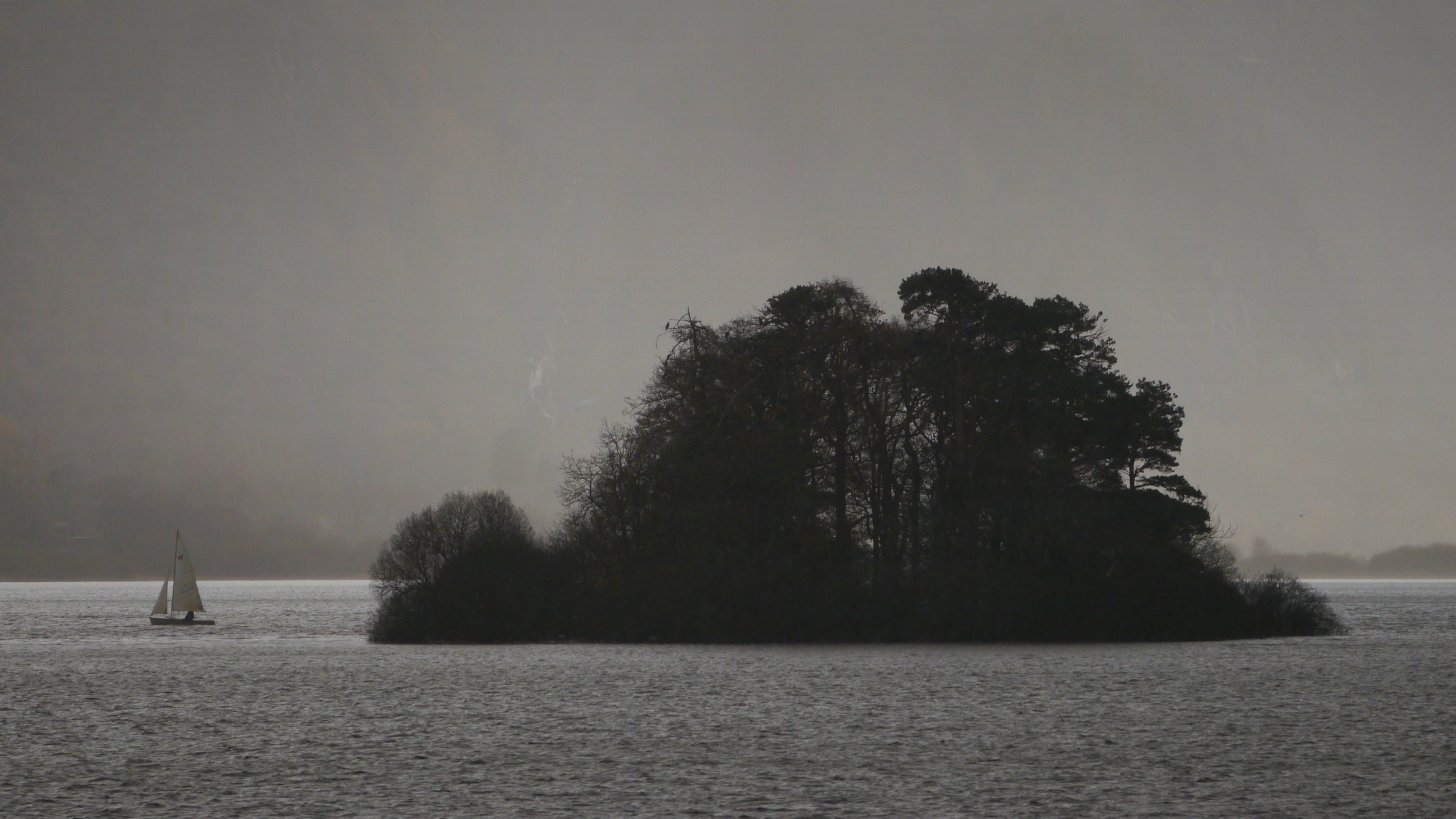 A sailing boat sails alongside a tree covered island on a lake